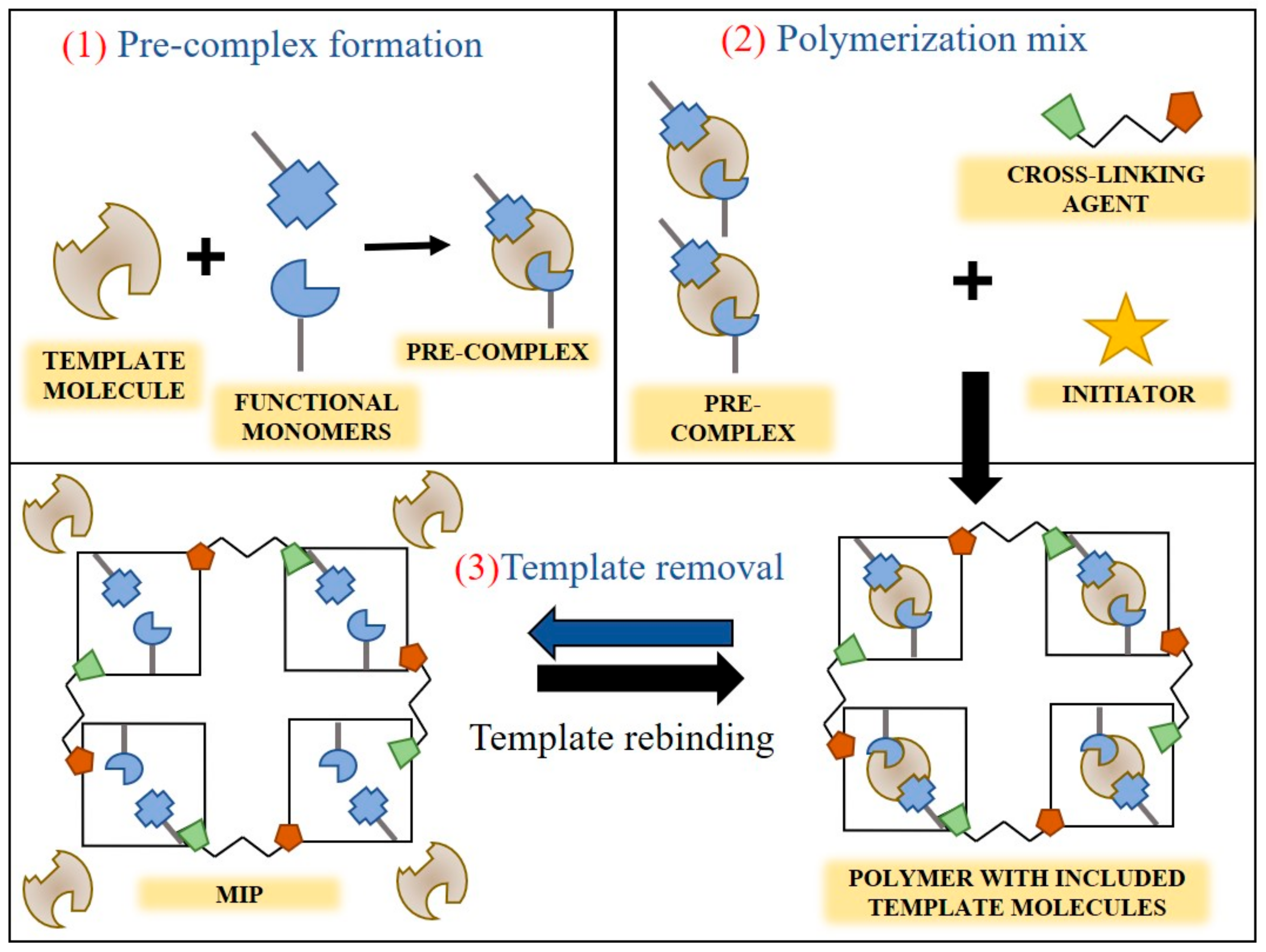 Chemosensors 10 00243 g002 550