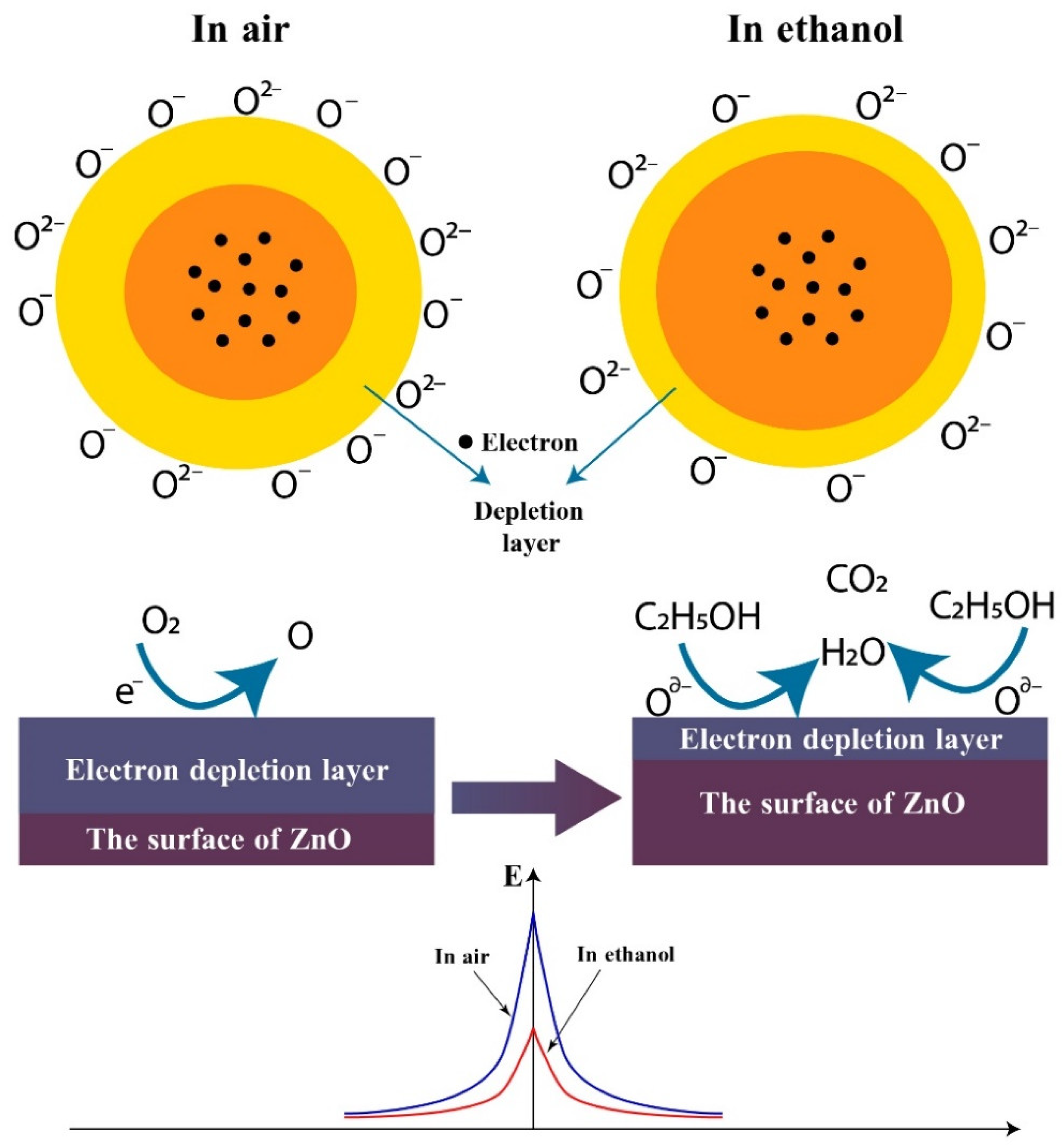 Chemosensors 10 00245 g012