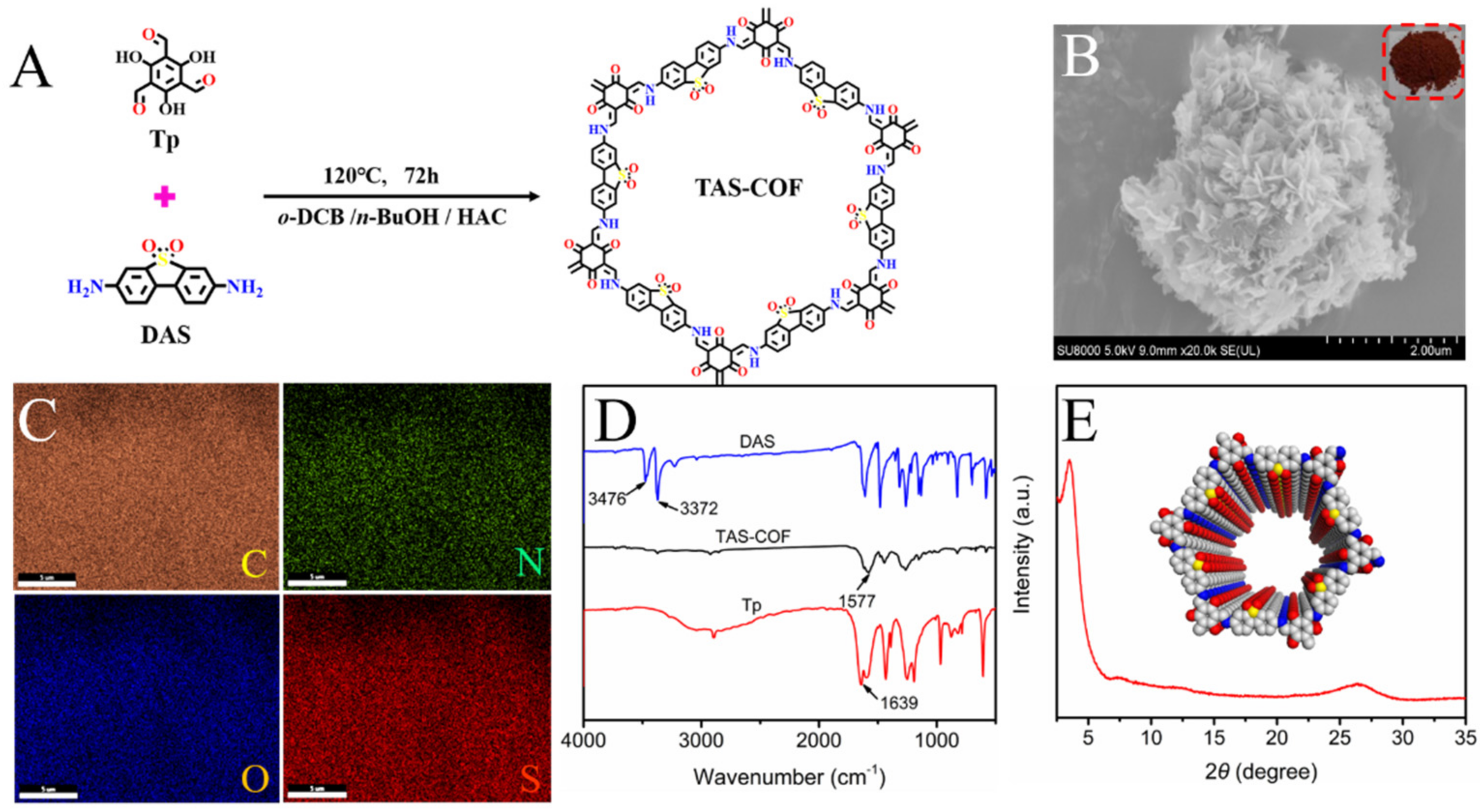 Chemosensors 10 00248 g001
