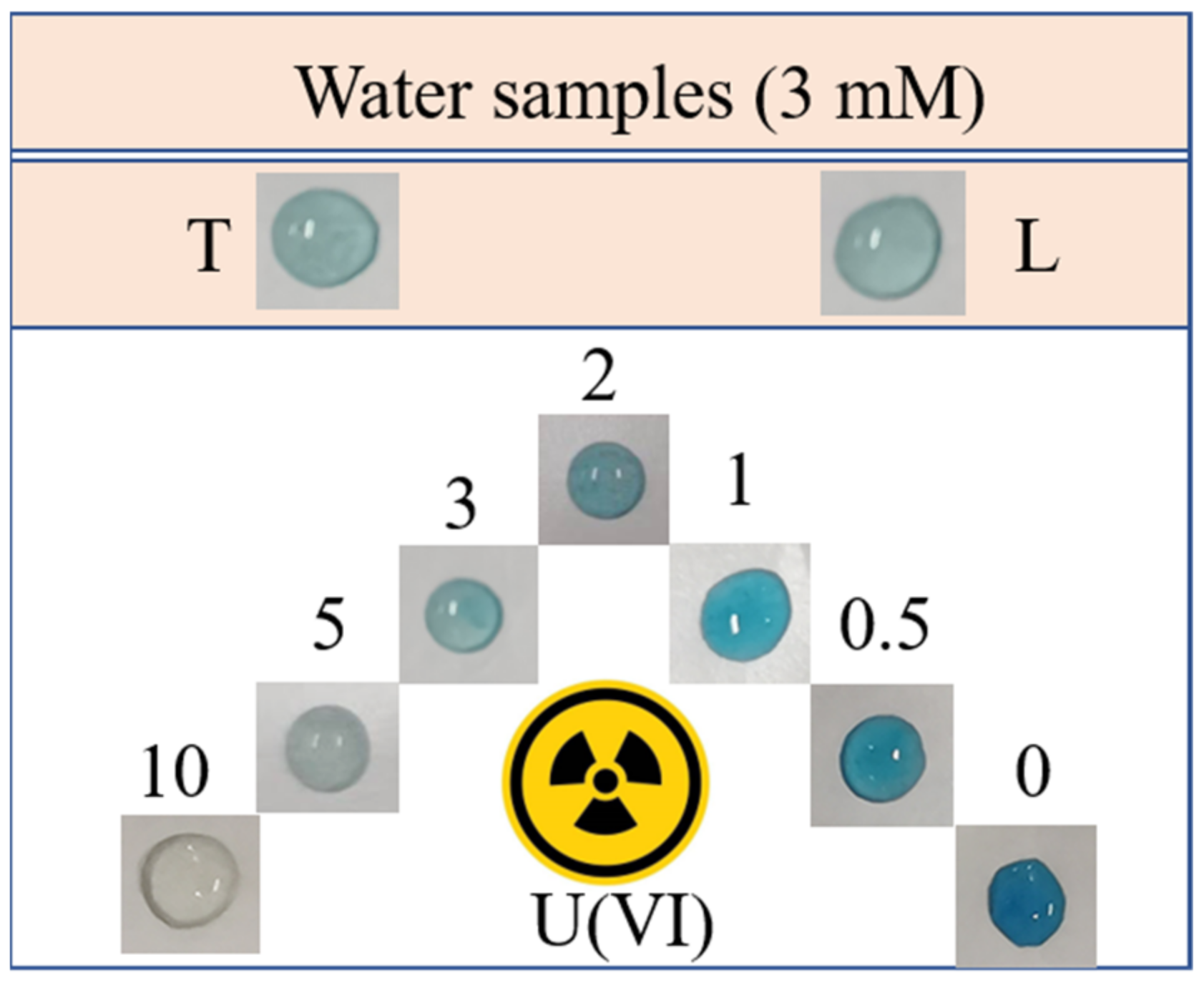Chemosensors 10 00248 g006