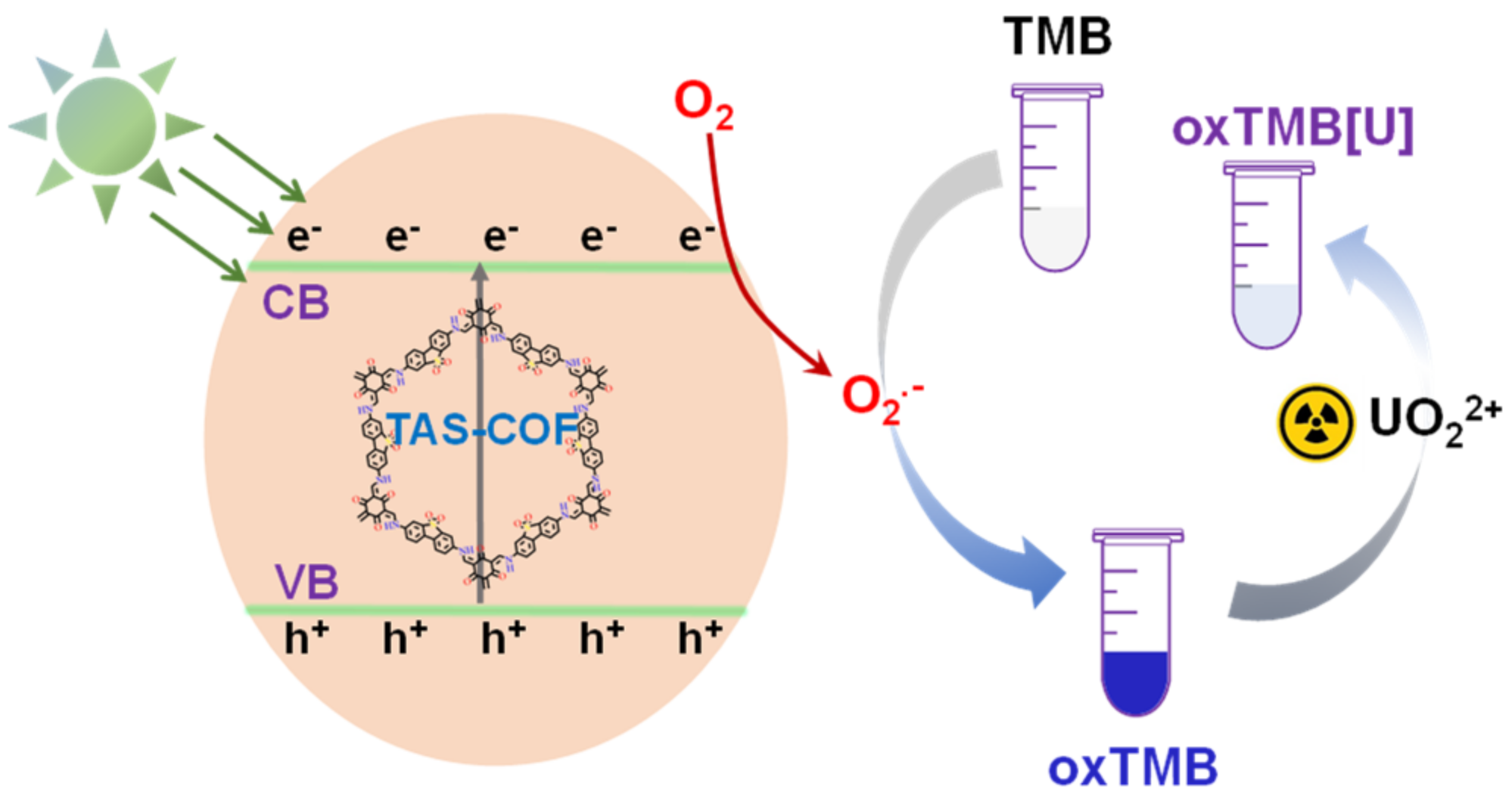 Chemosensors 10 00248 sch001
