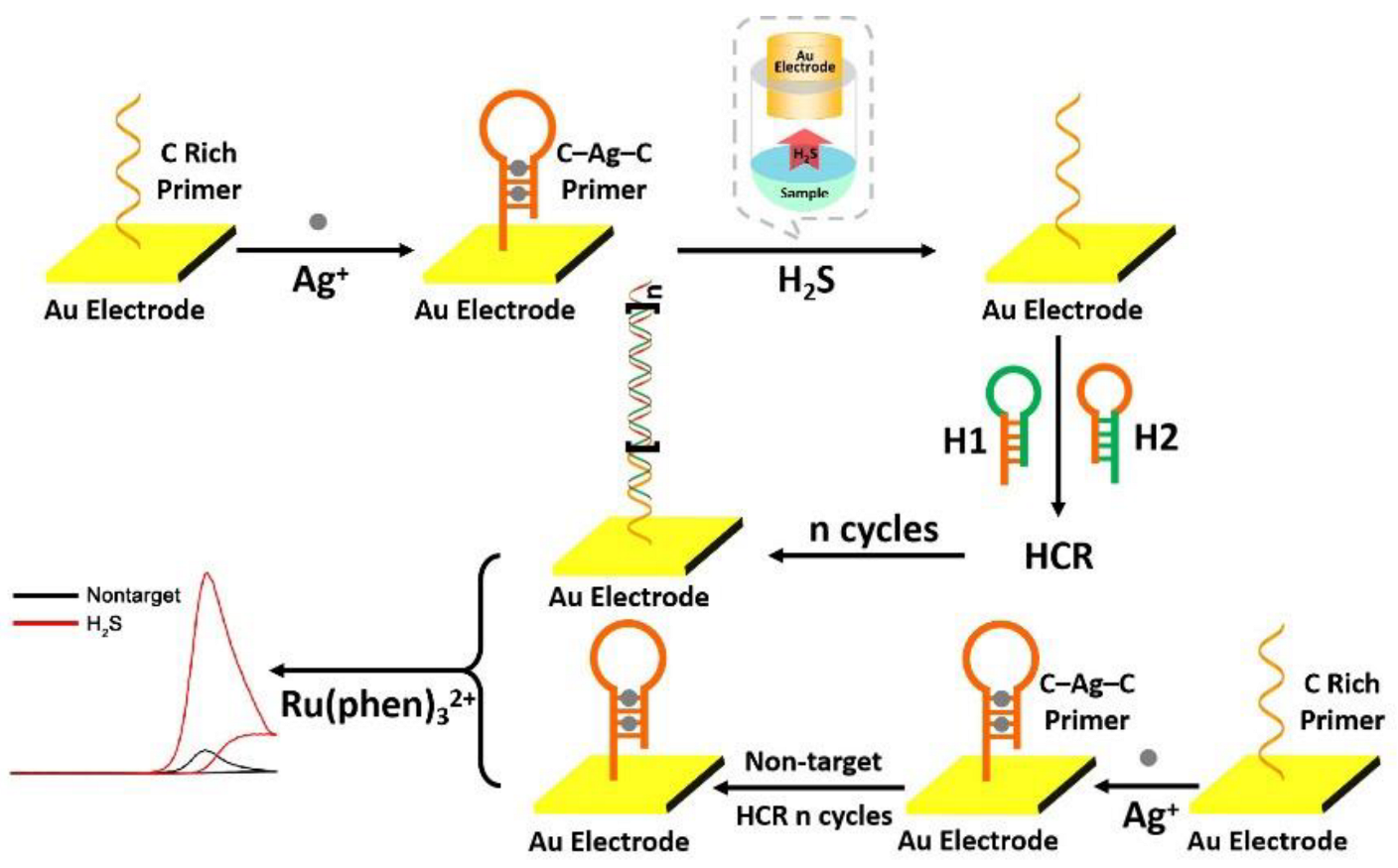 Chemosensors 10 00250 g001 550