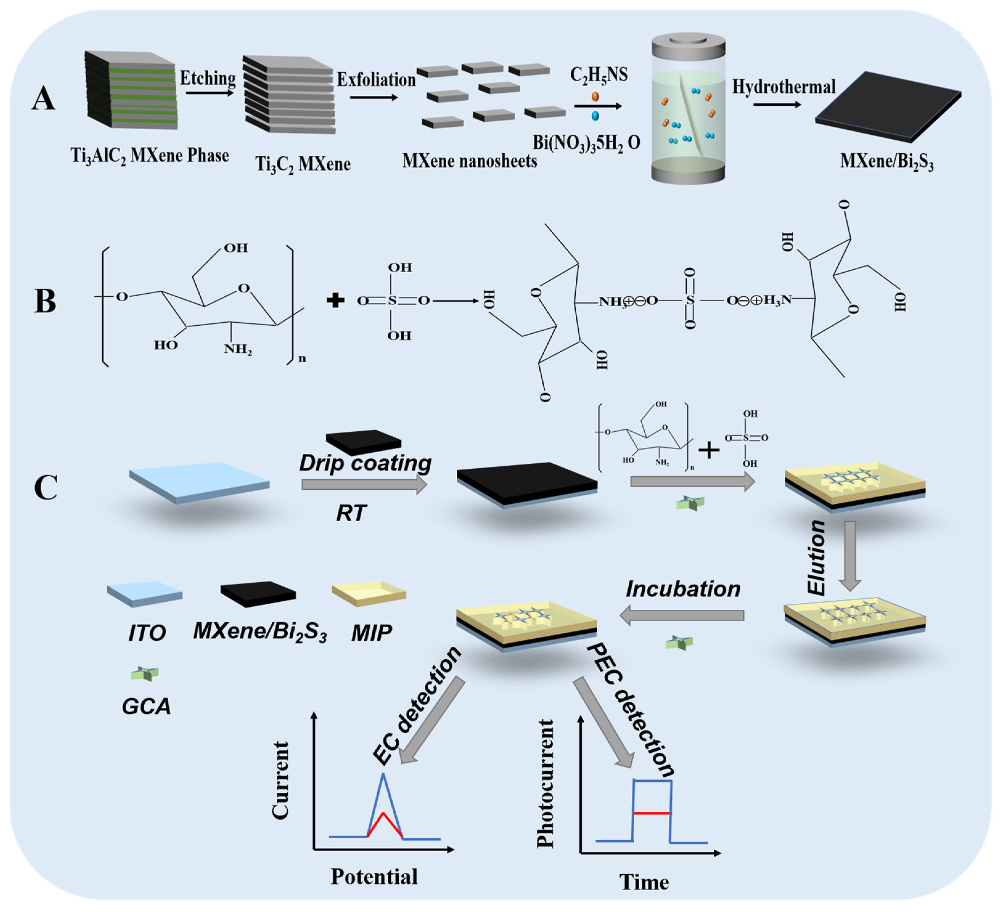 Chemosensors 10 00252 sch001 550