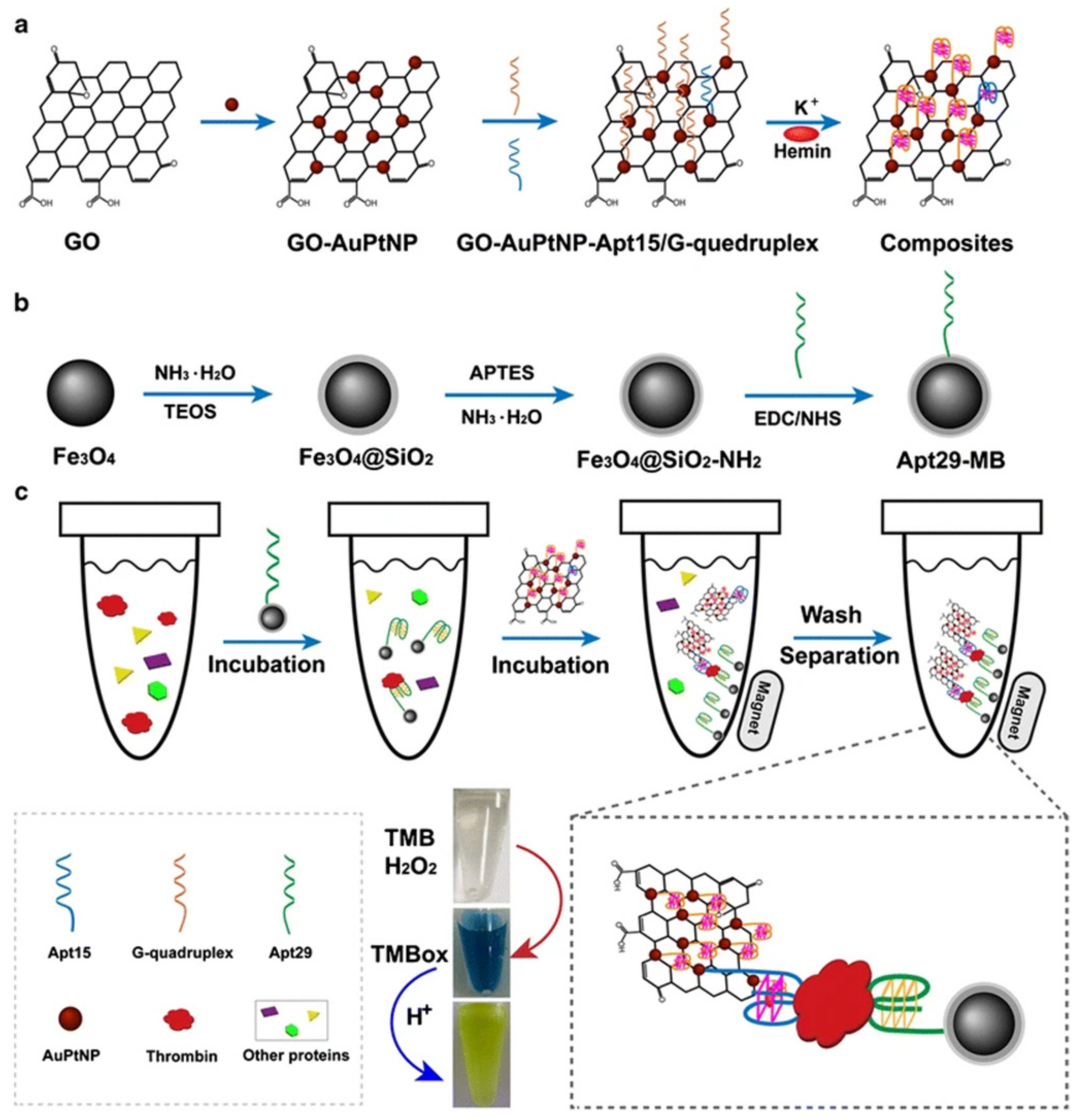 Chemosensors 10 00255 g003 550