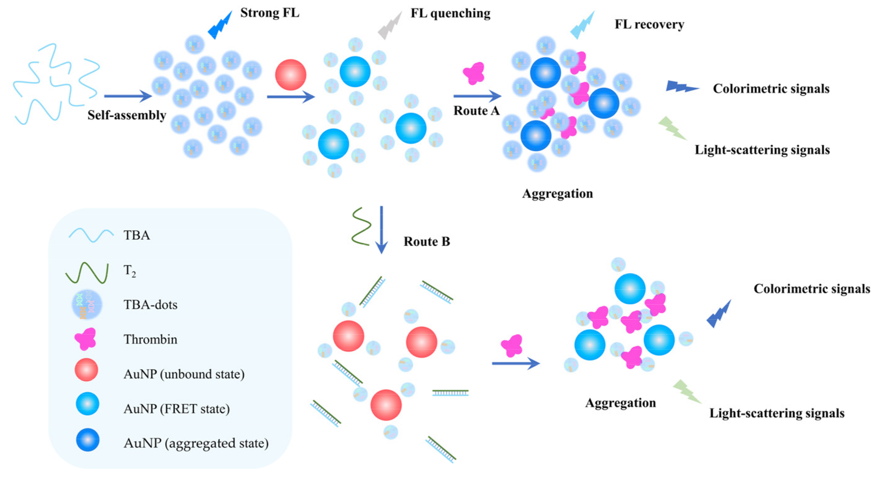 Chemosensors 10 00255 g004 550