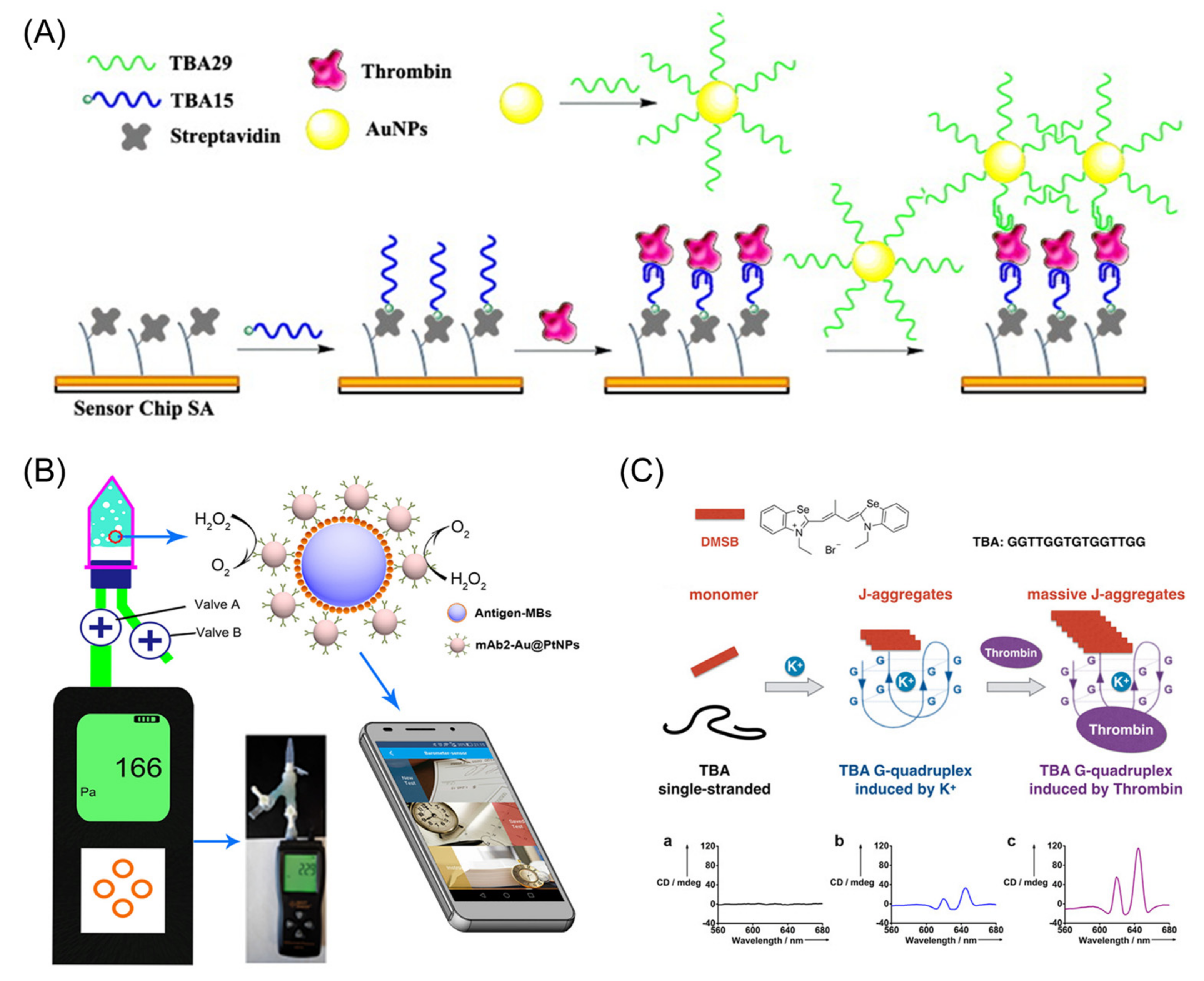Chemosensors 10 00255 g010 550