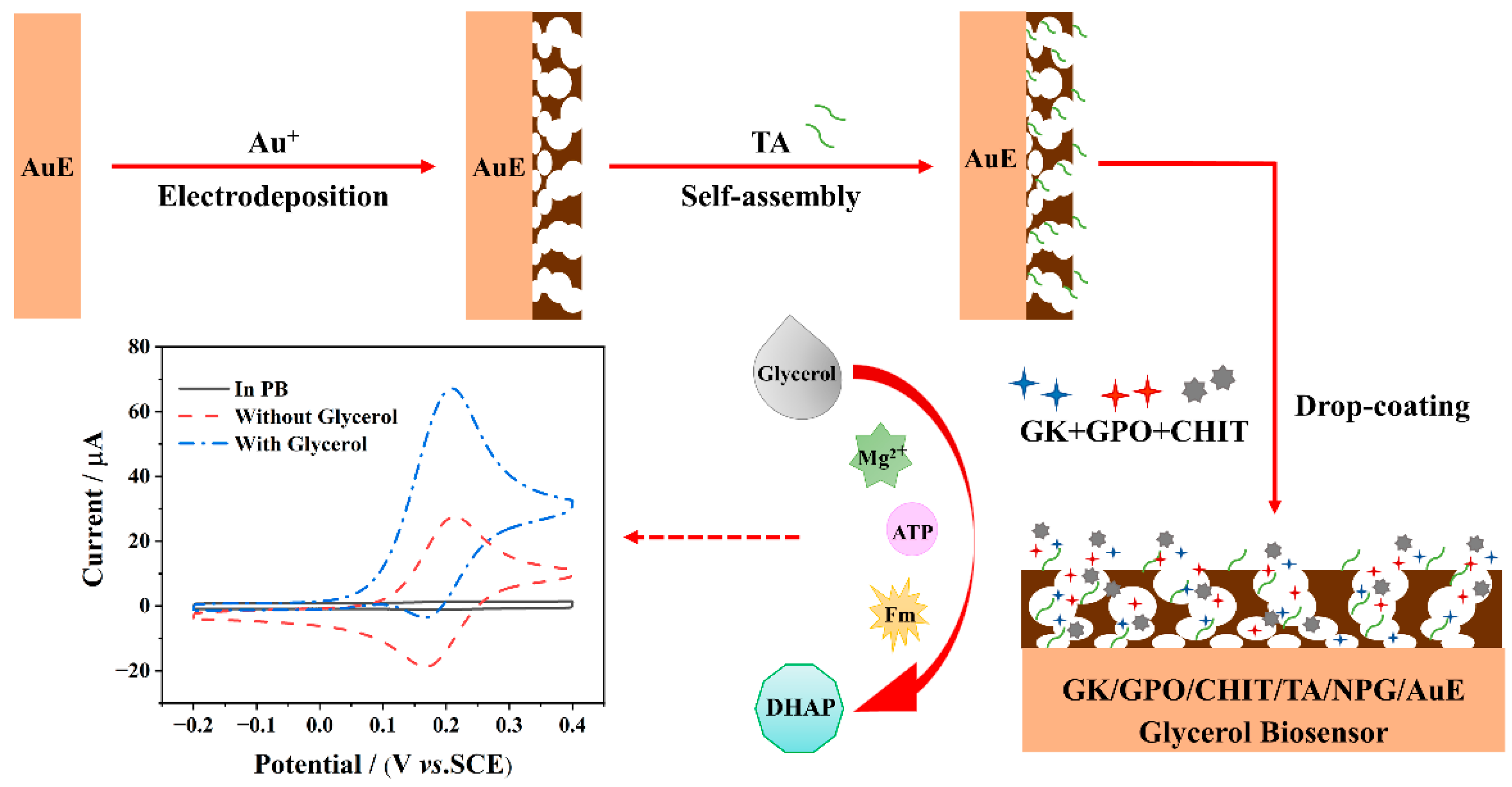 Chemosensors 10 00258 g001 550