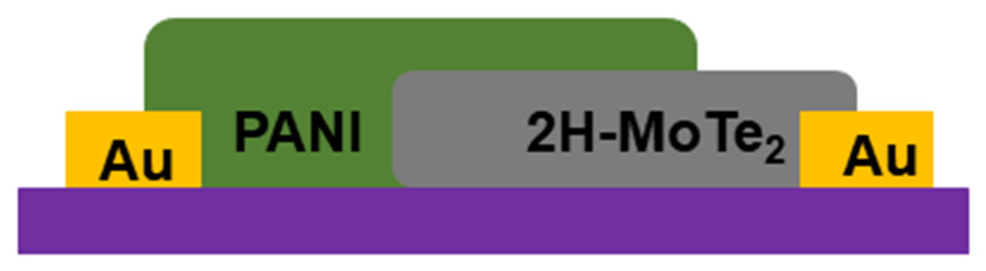 Chemosensors 10 00264 g001