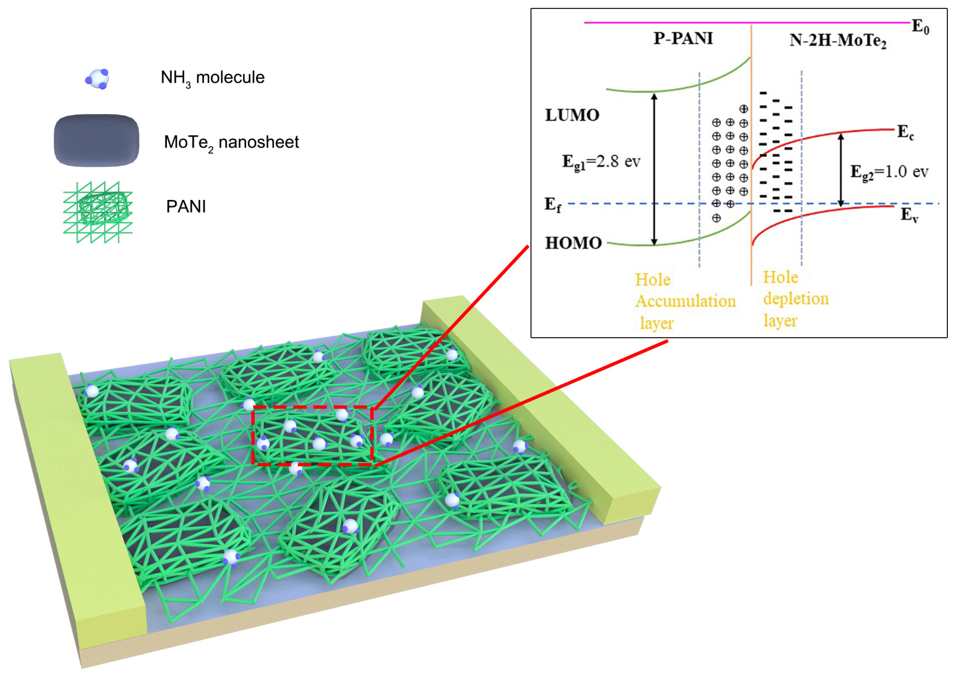 Chemosensors 10 00264 g010