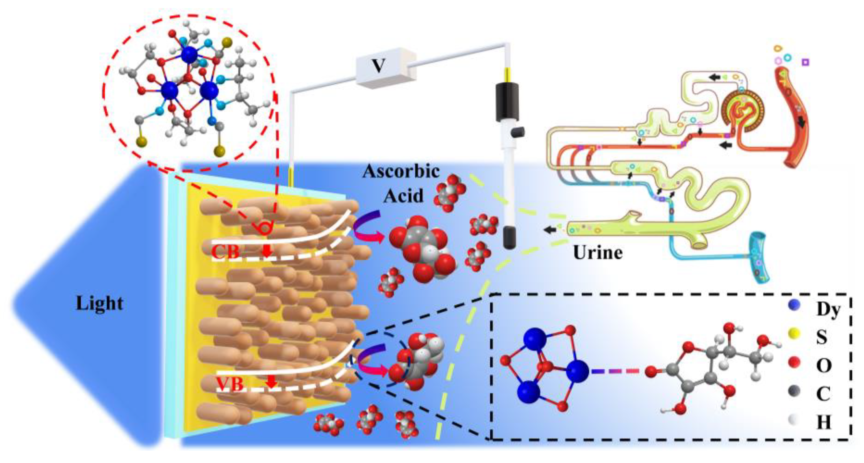 Chemosensors 10 00268 sch001