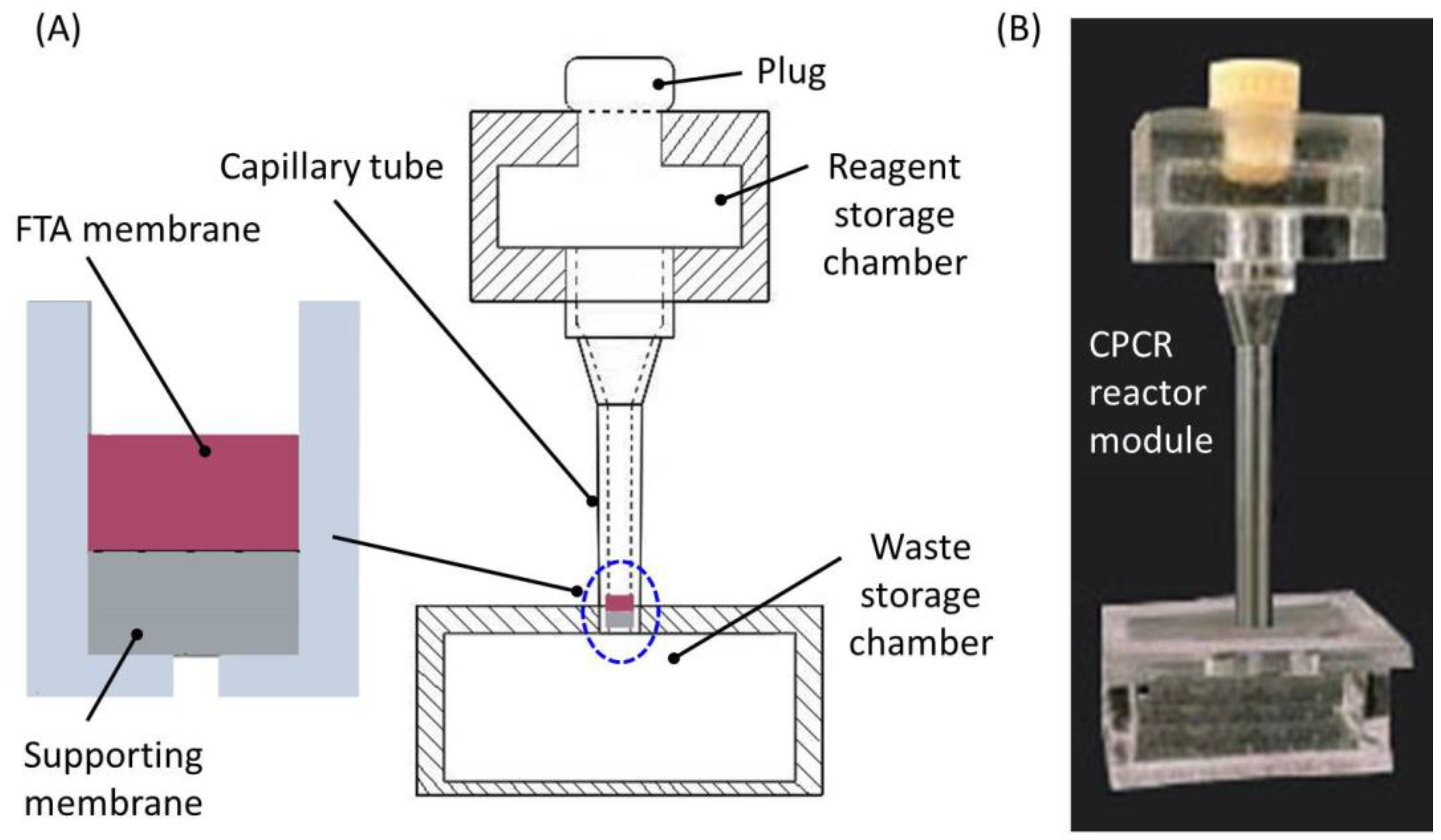 Chemosensors 10 00271 g002