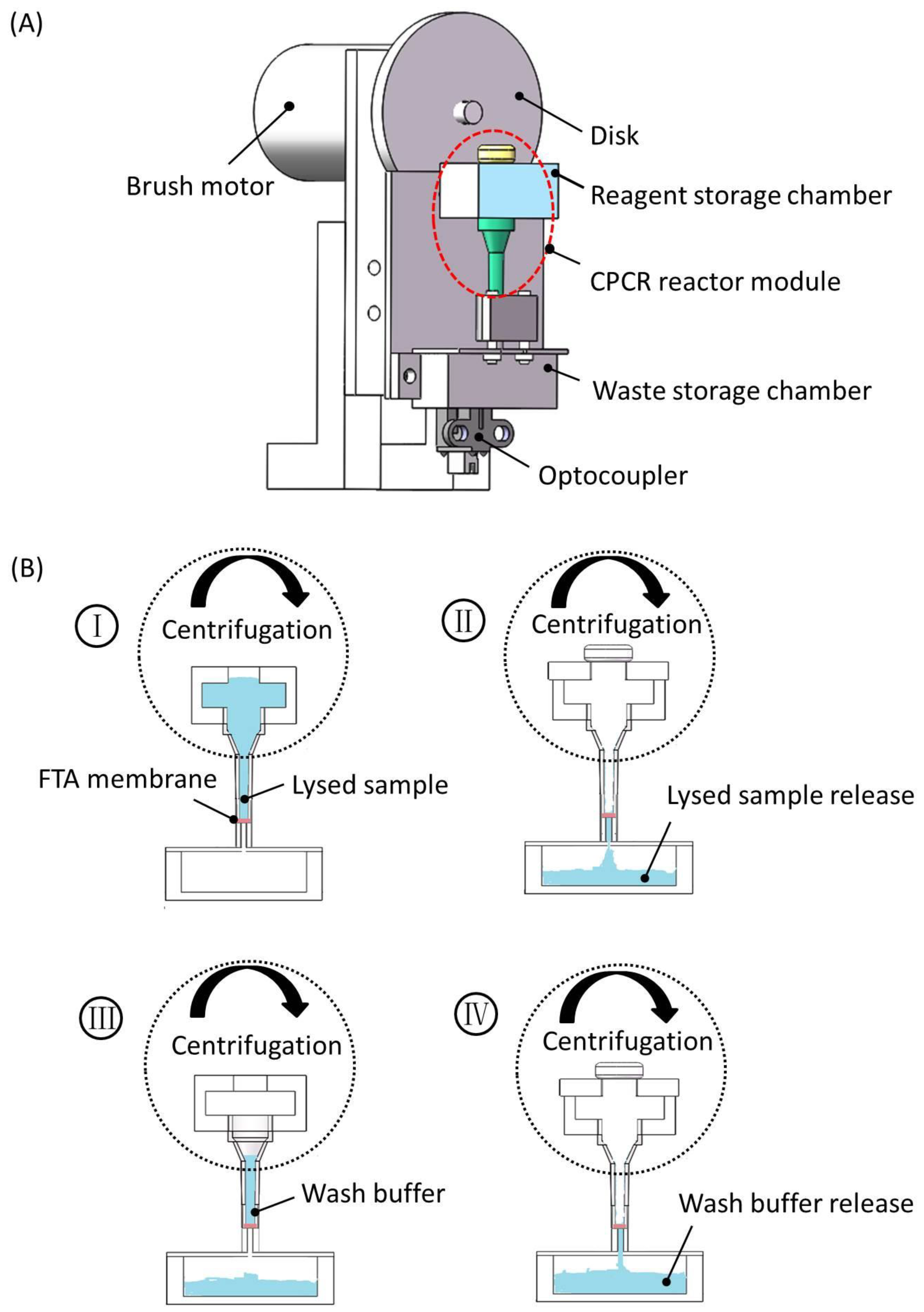 Chemosensors 10 00271 g003