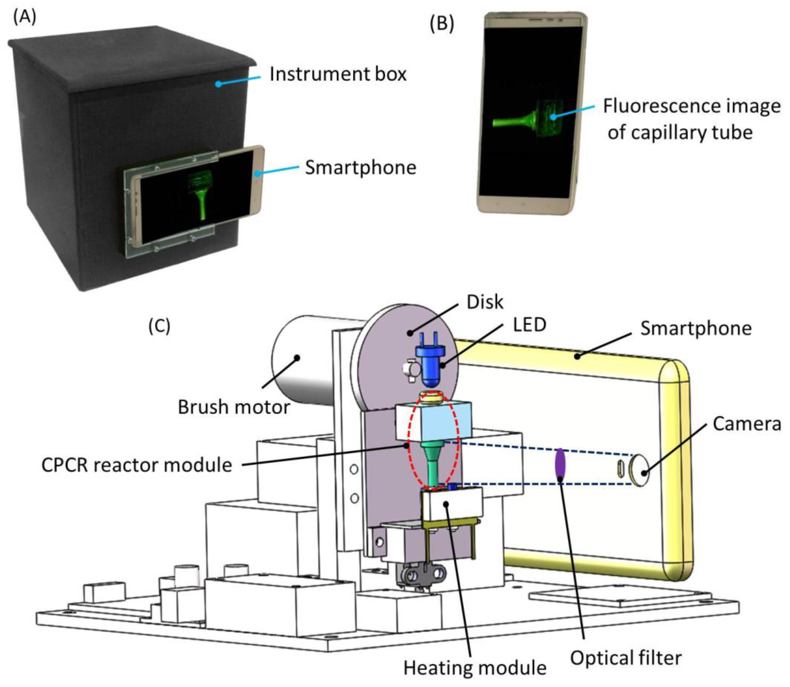 Chemosensors 10 00271 g004
