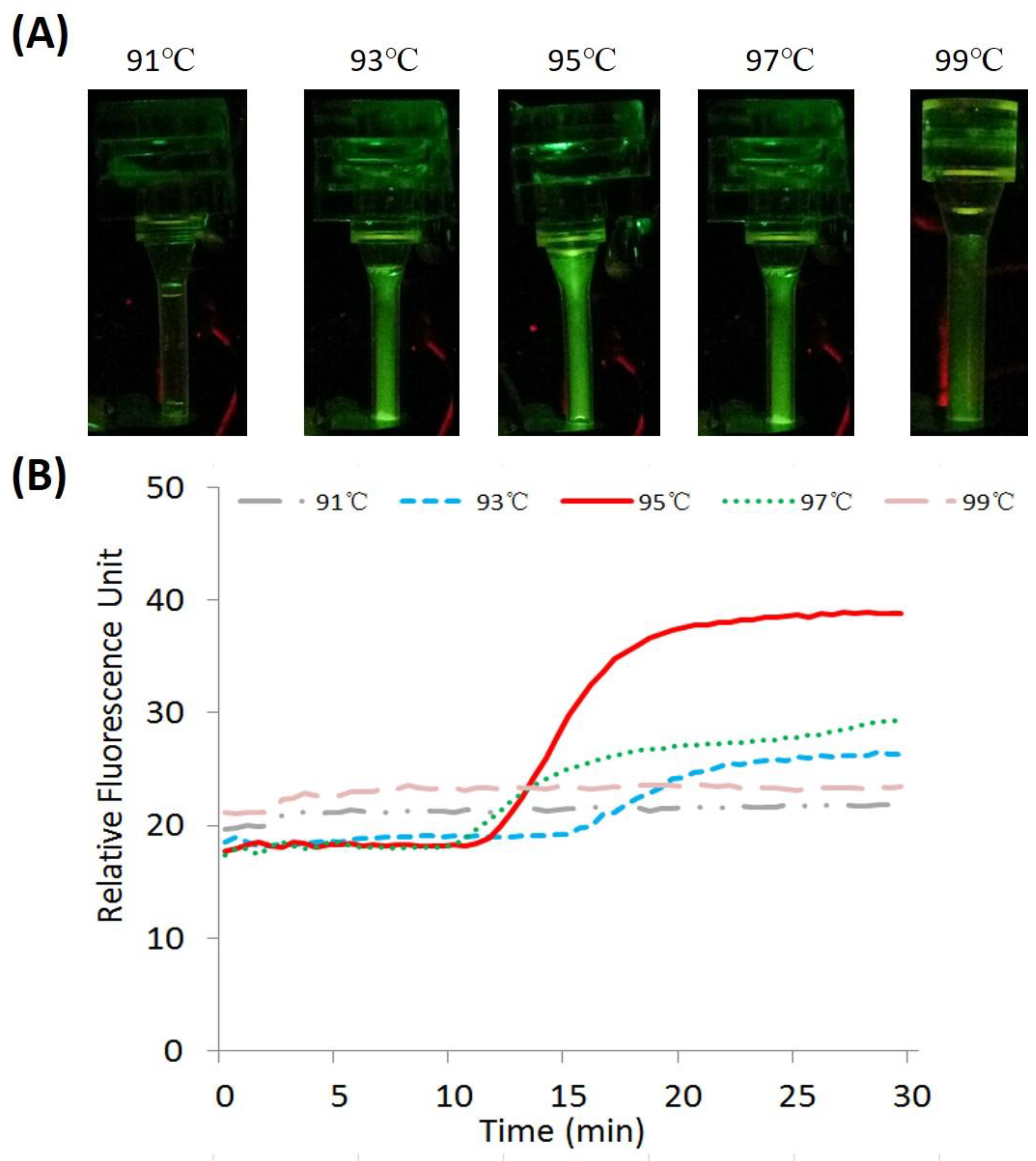 Chemosensors 10 00271 g007