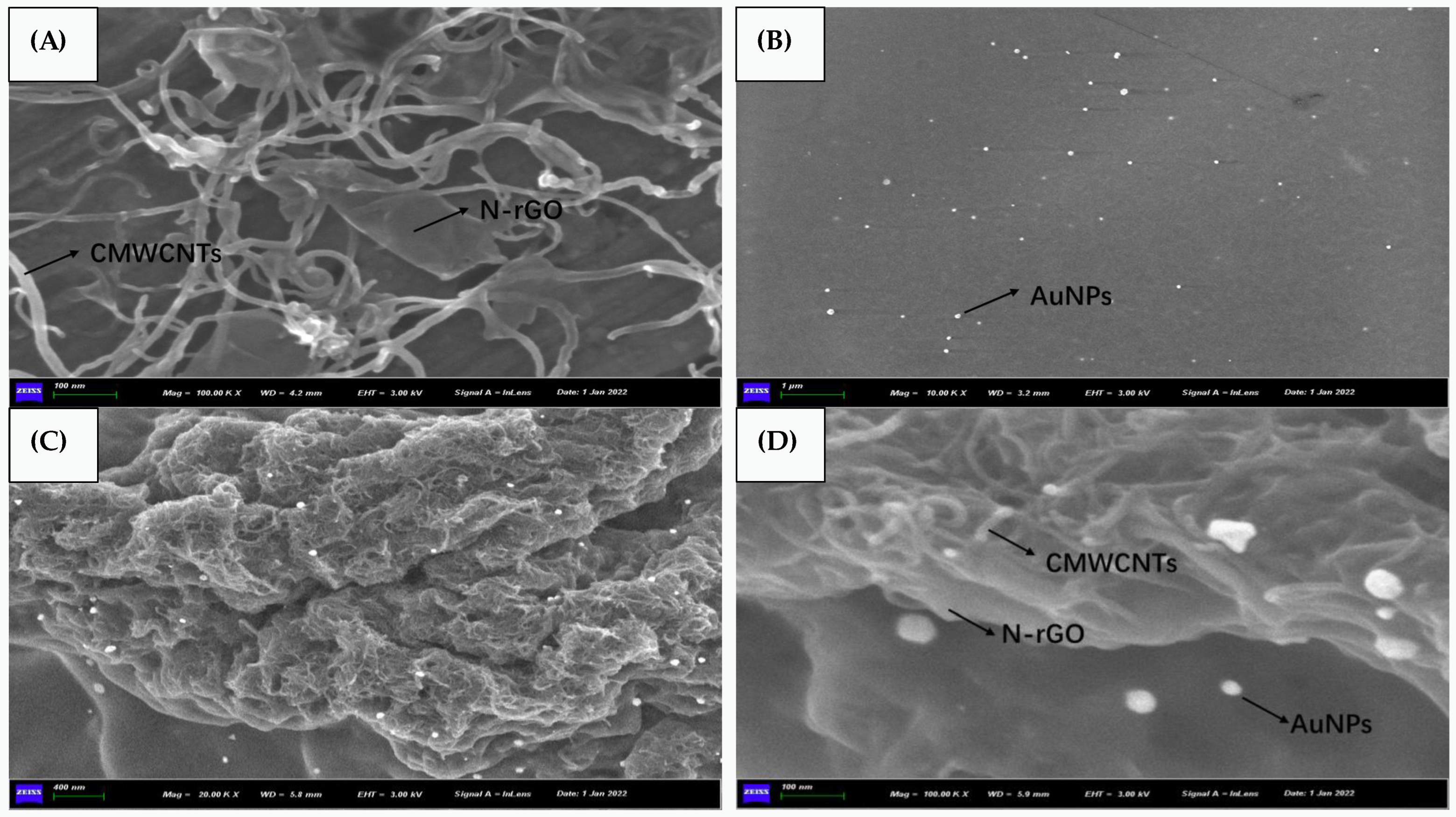 Chemosensors 10 00272 g002