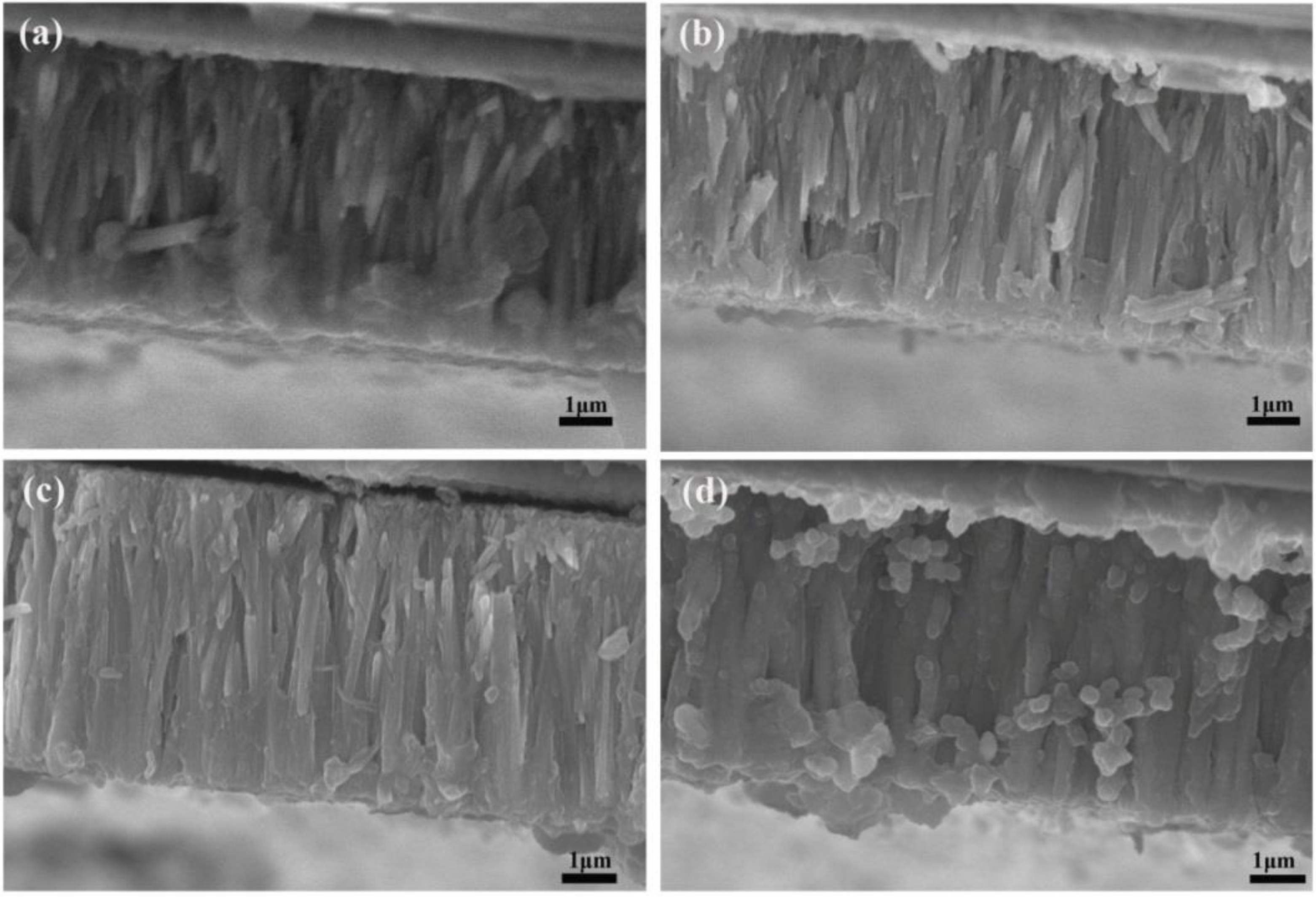 Chemosensors 10 00277 g002 550