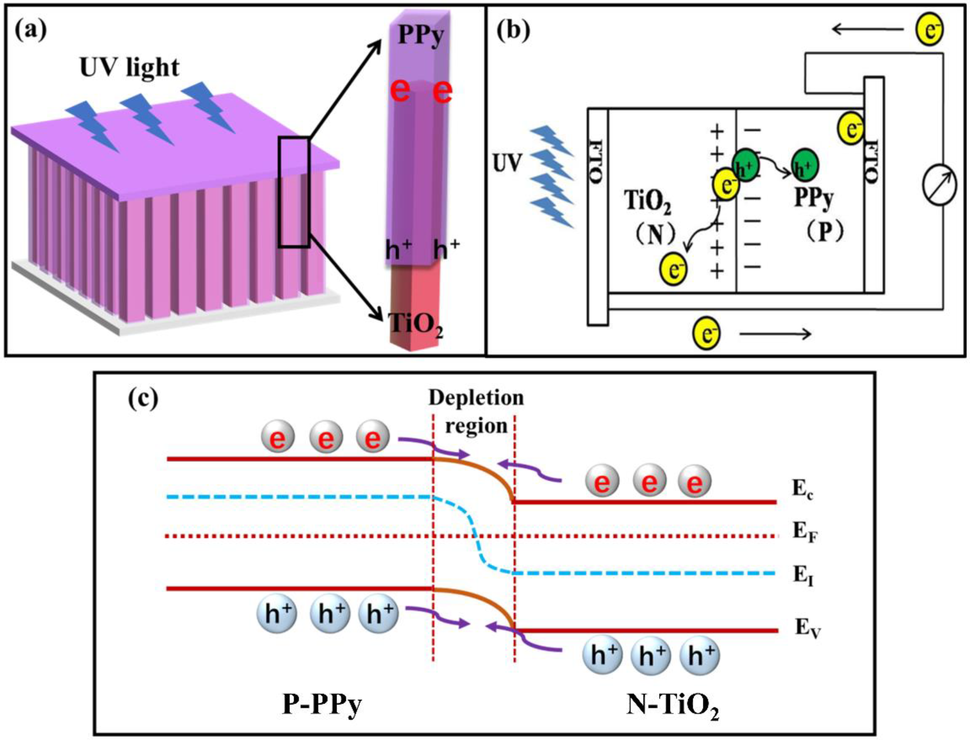 Chemosensors 10 00277 g008 550