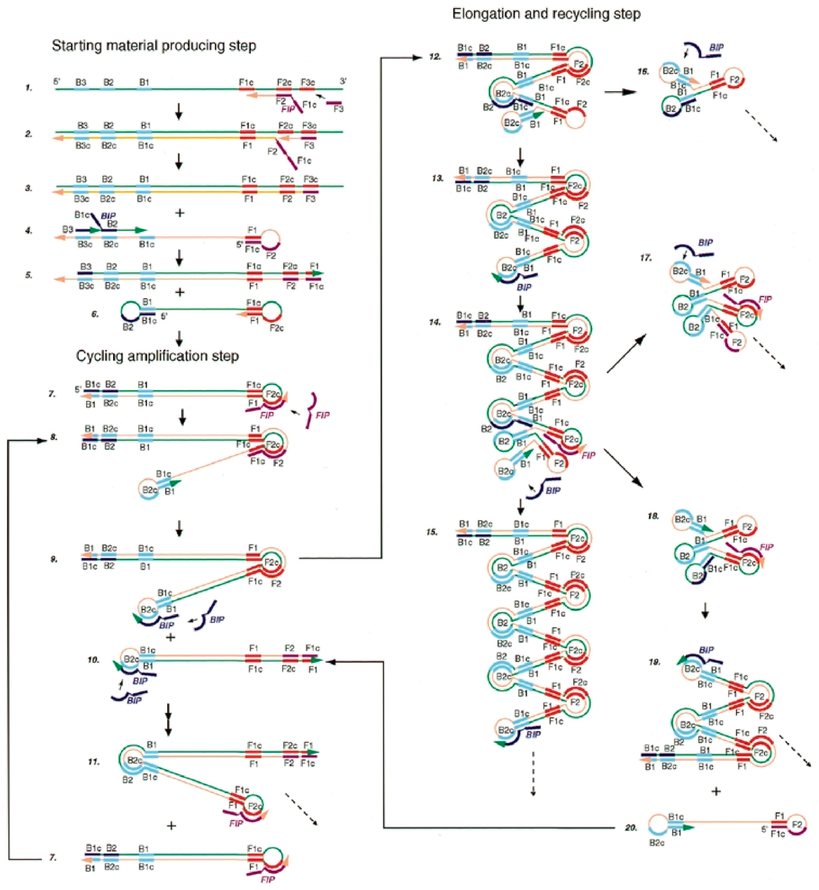 Chemosensors 10 00278 g001