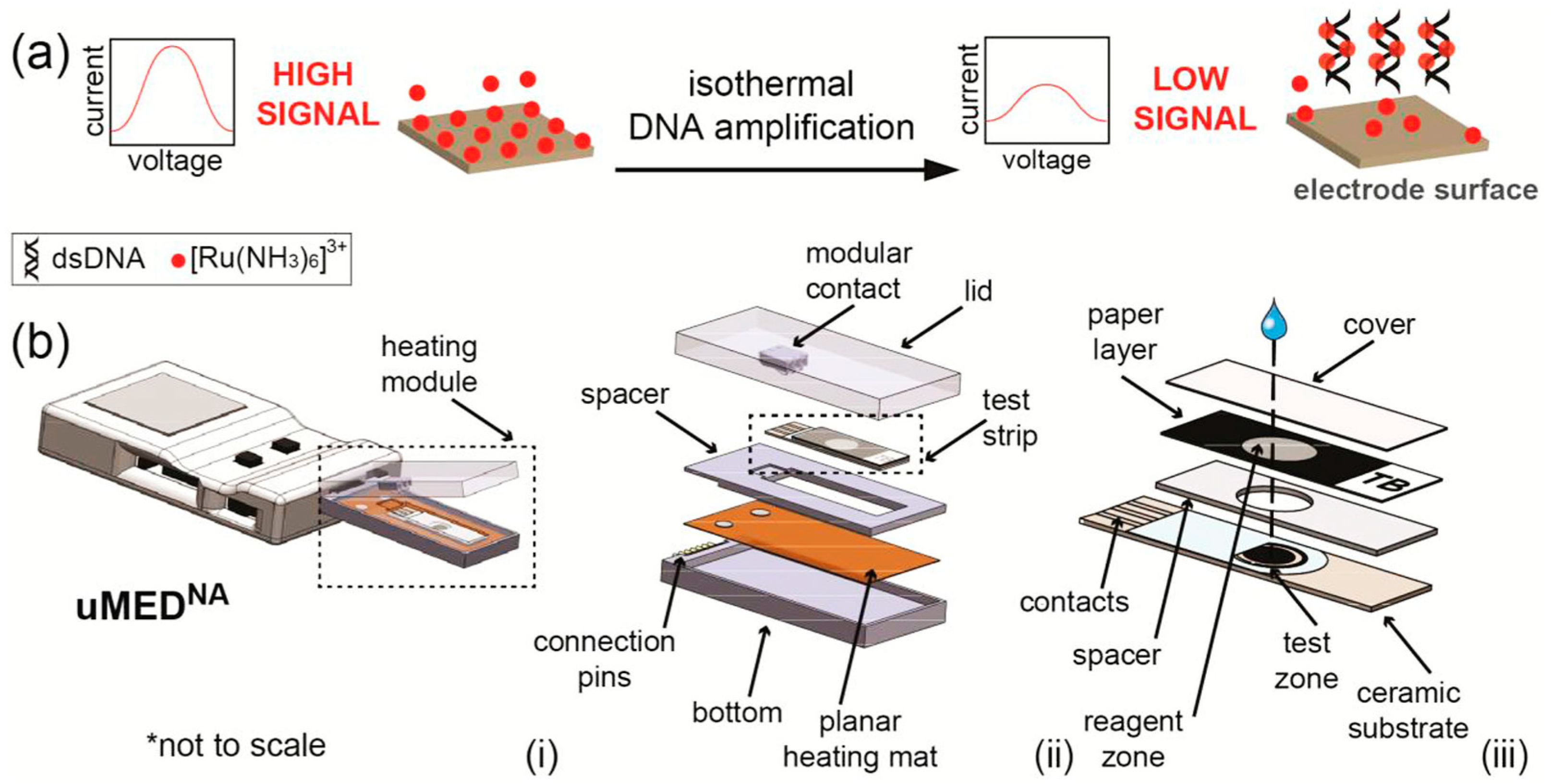 Chemosensors 10 00278 g003