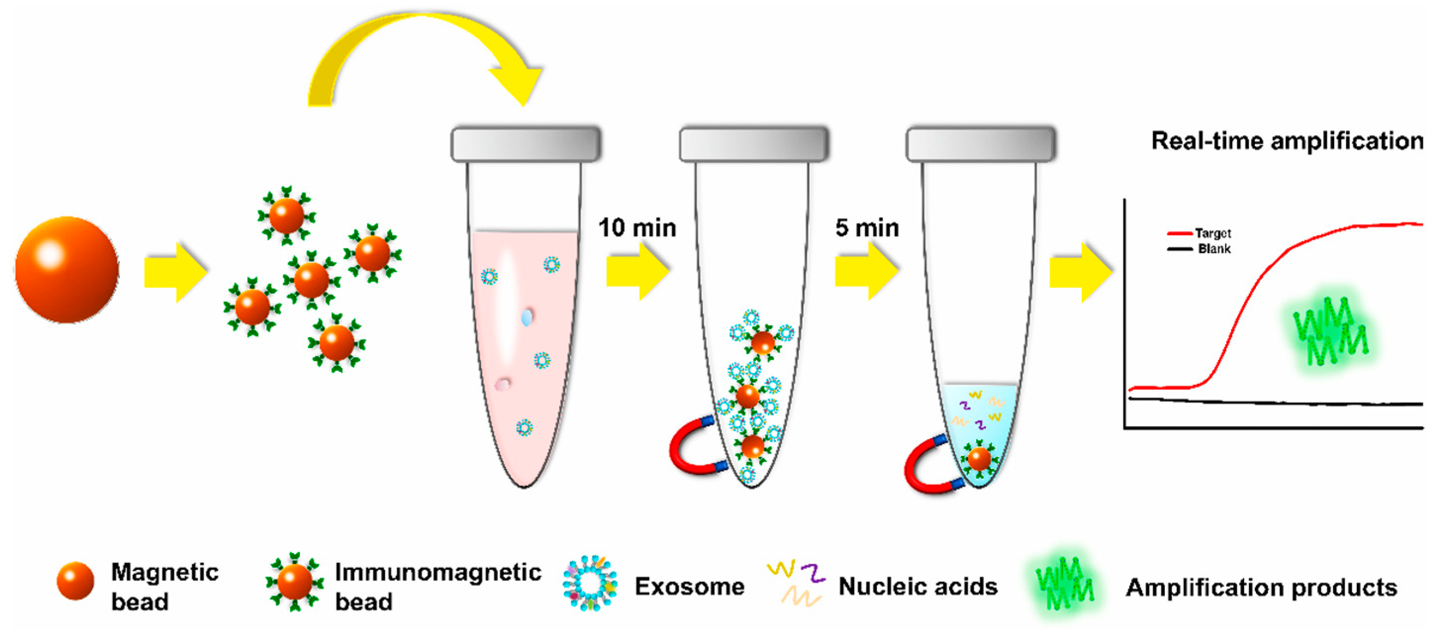 Chemosensors 10 00278 g006