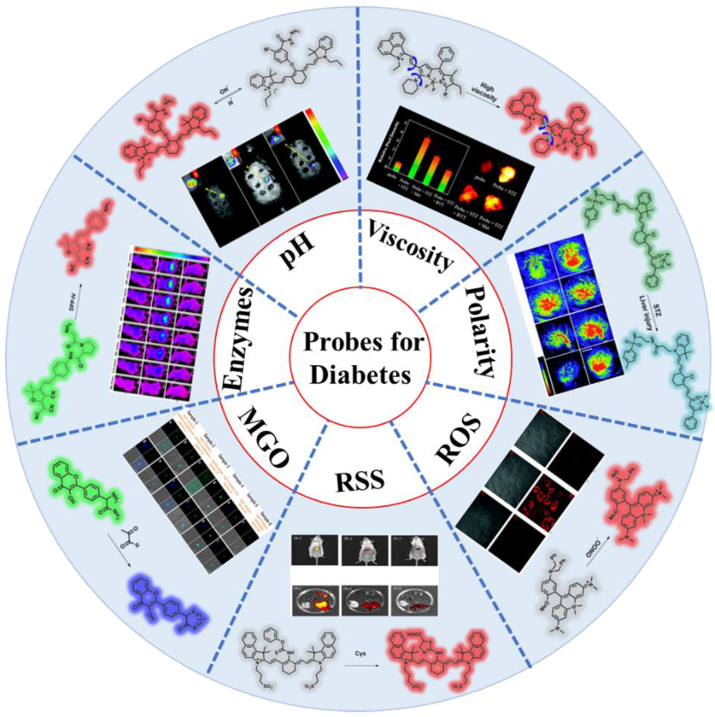 Chemosensors 10 00280 g001