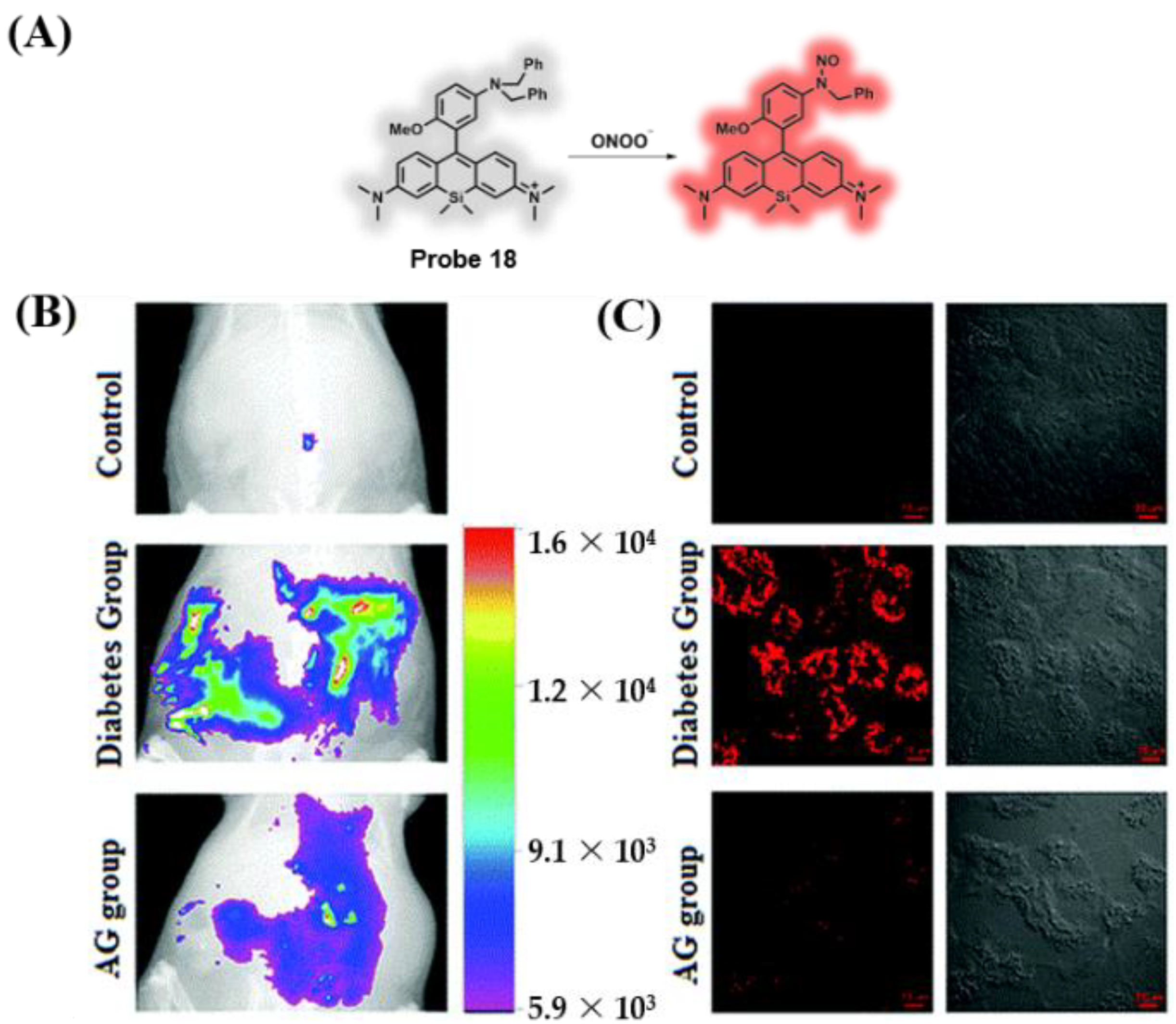 Chemosensors 10 00280 g014