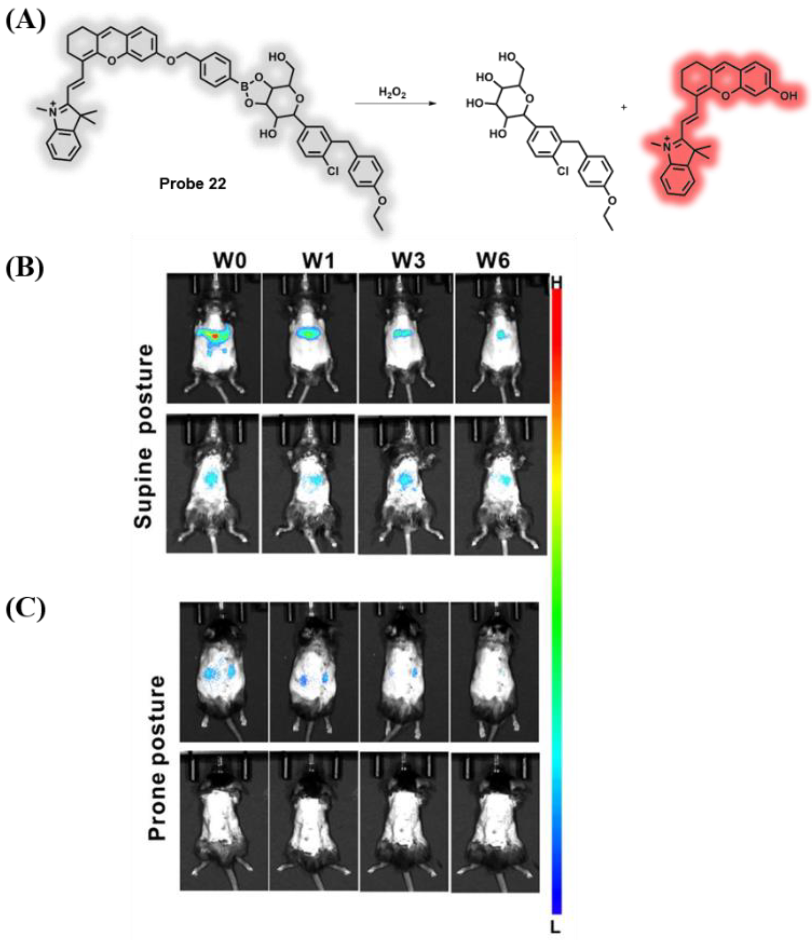 Chemosensors 10 00280 g018