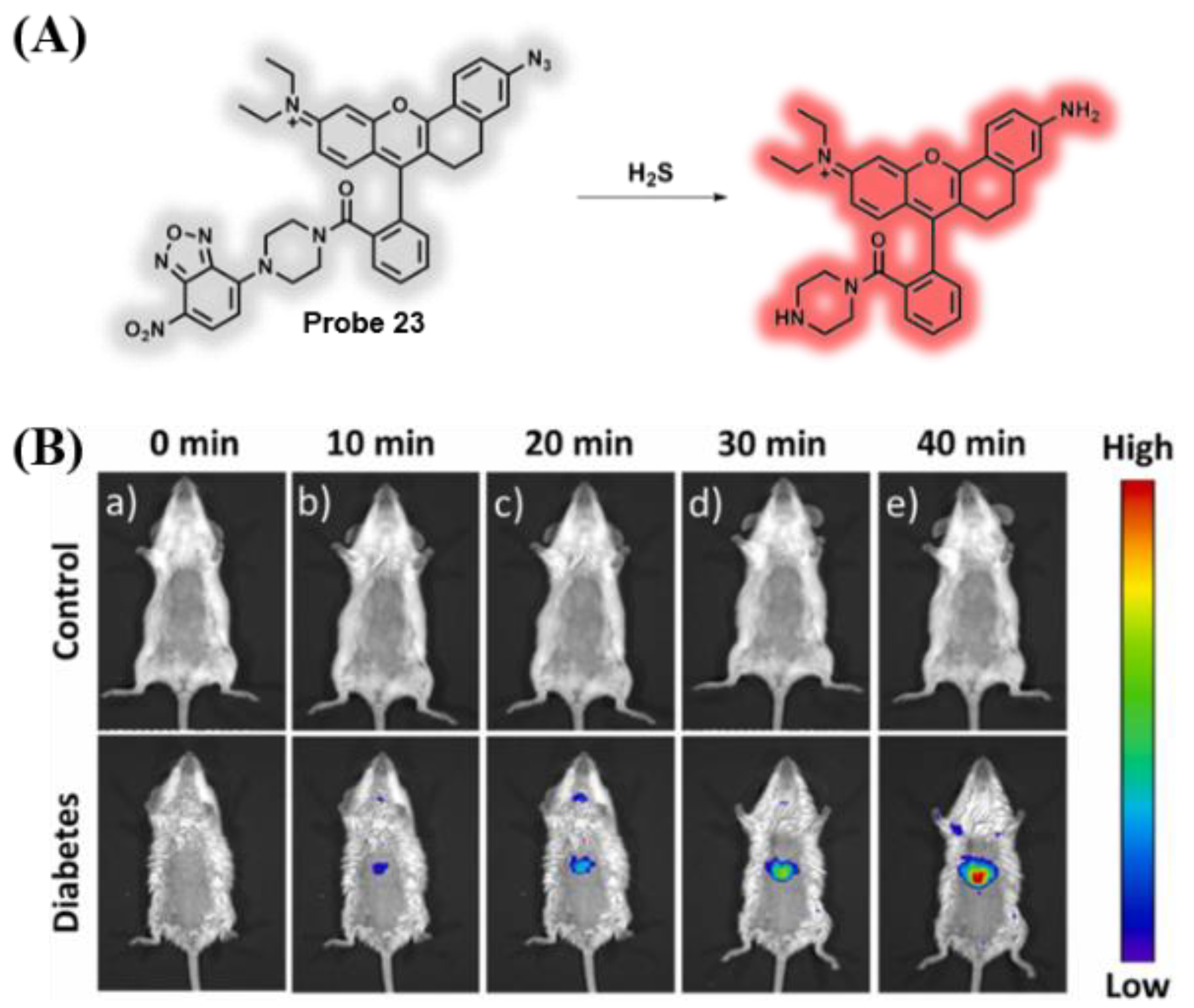 Chemosensors 10 00280 g019