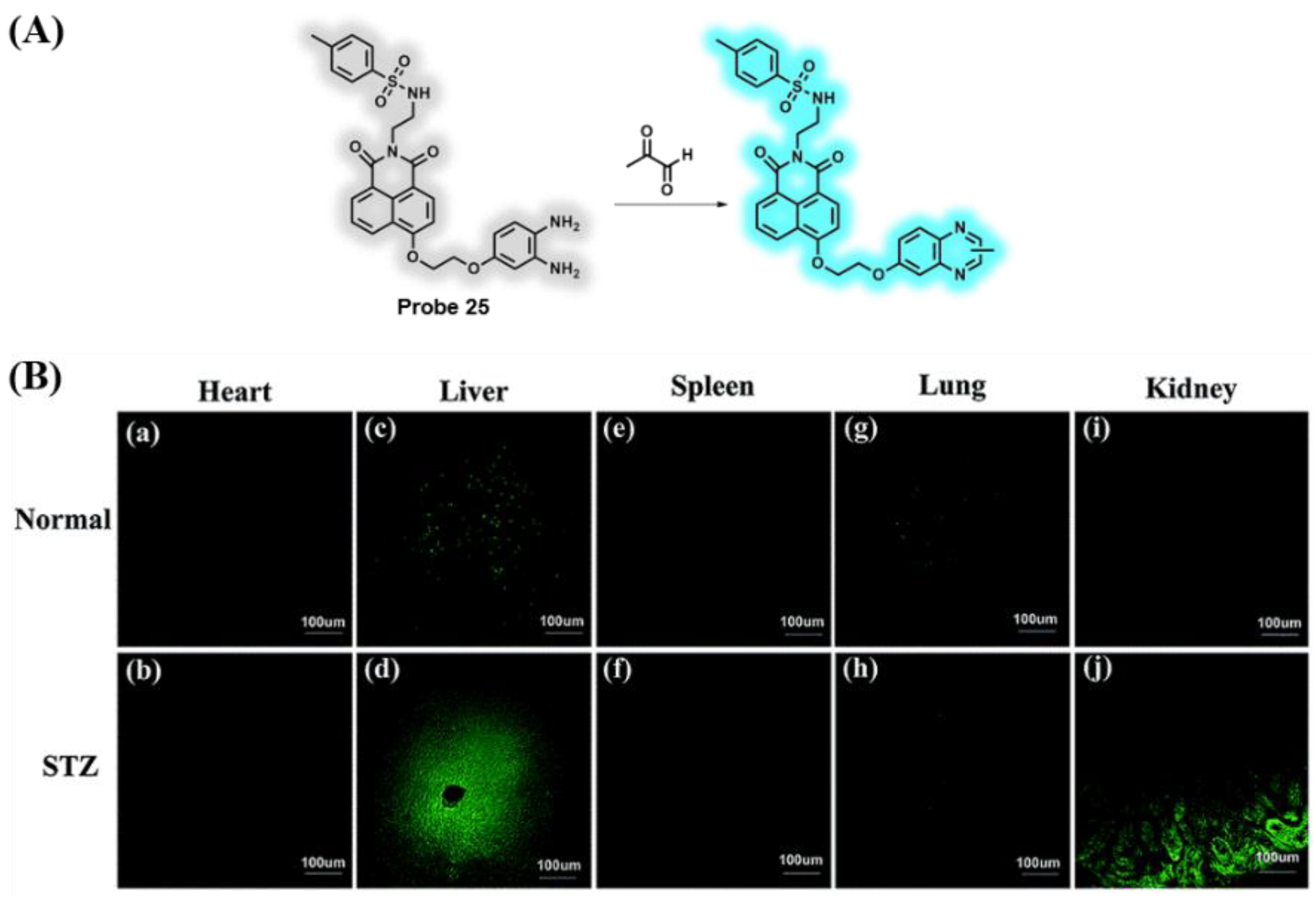 Chemosensors 10 00280 g021