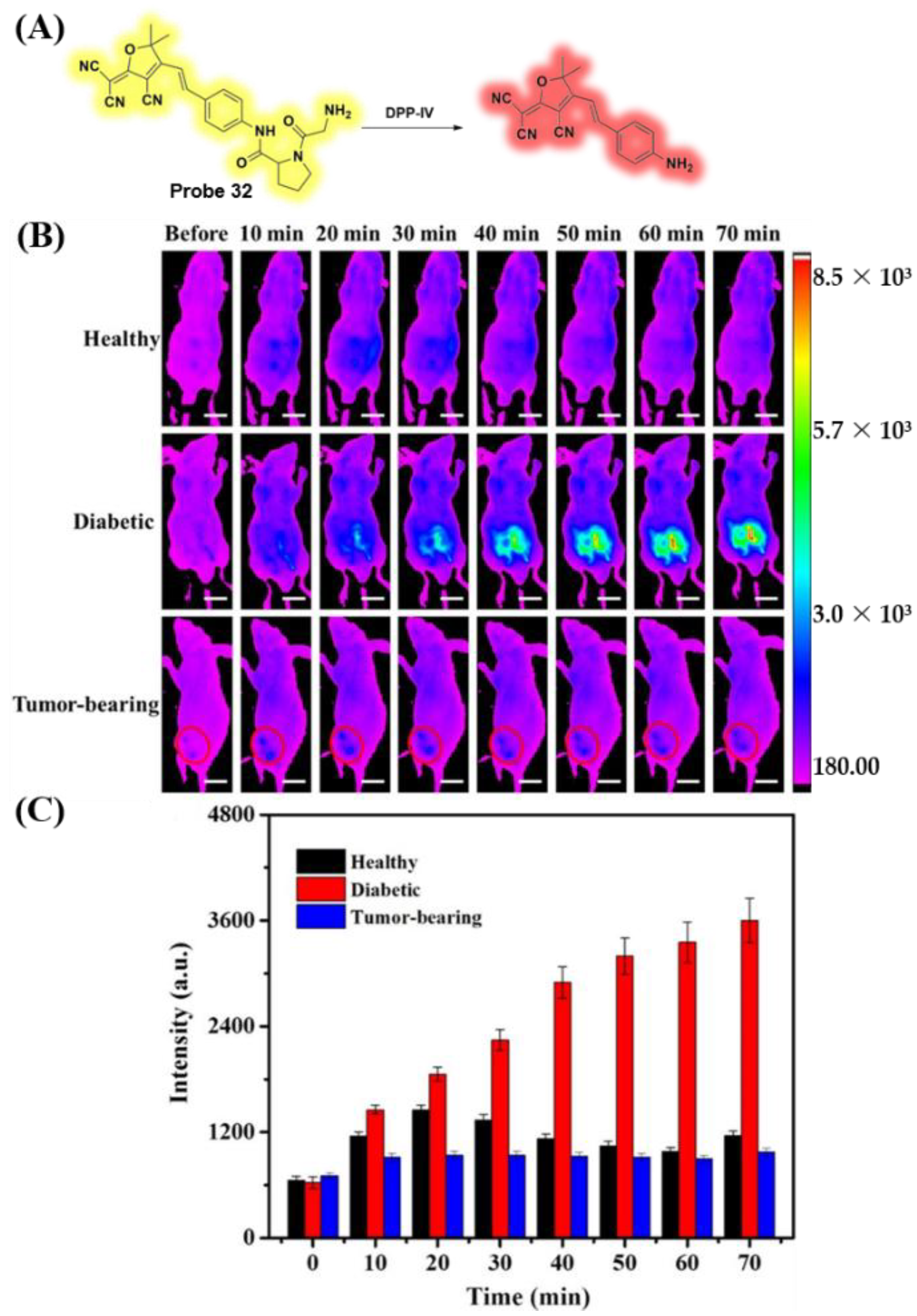 Chemosensors 10 00280 g026