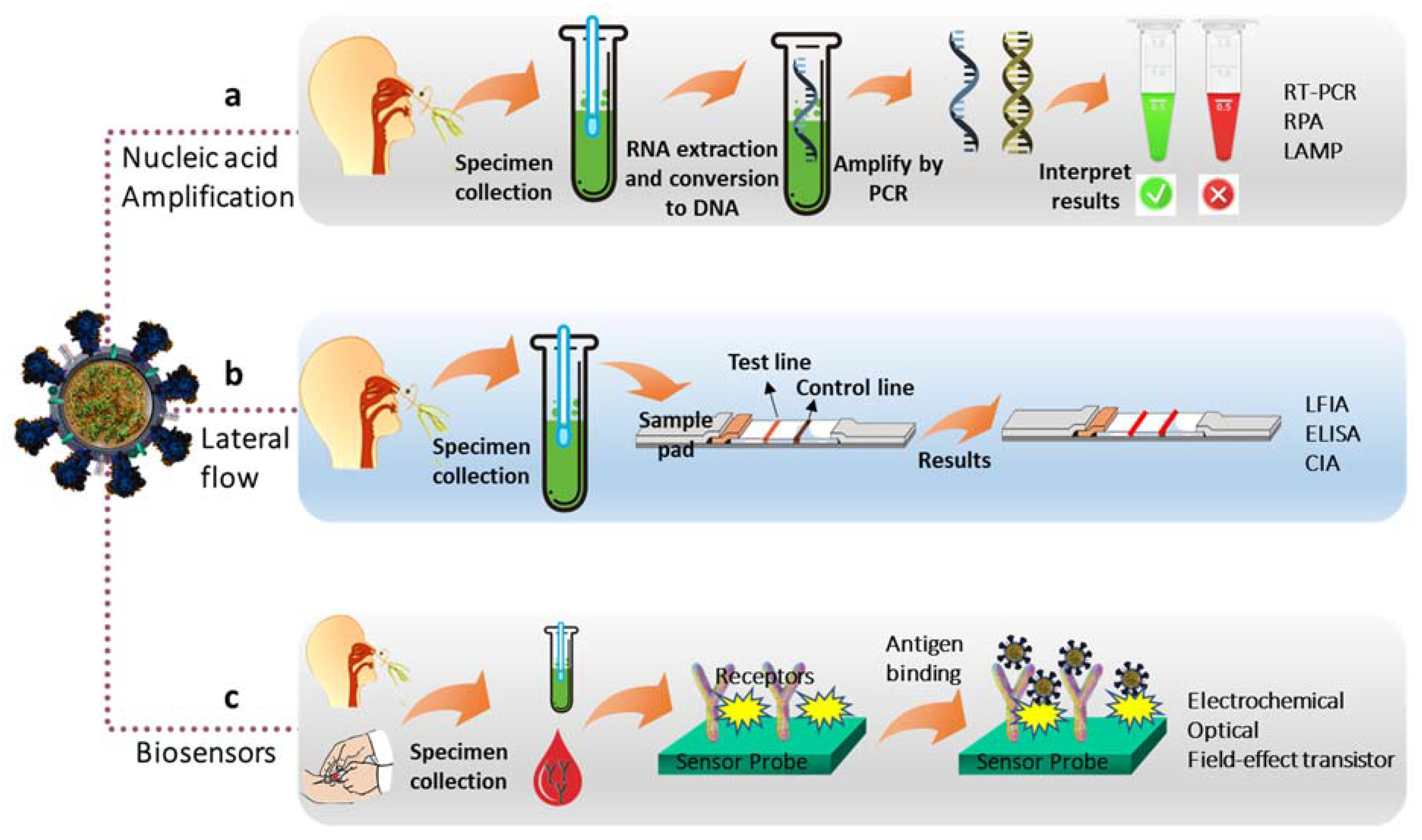 Chemosensors 10 00287 g001