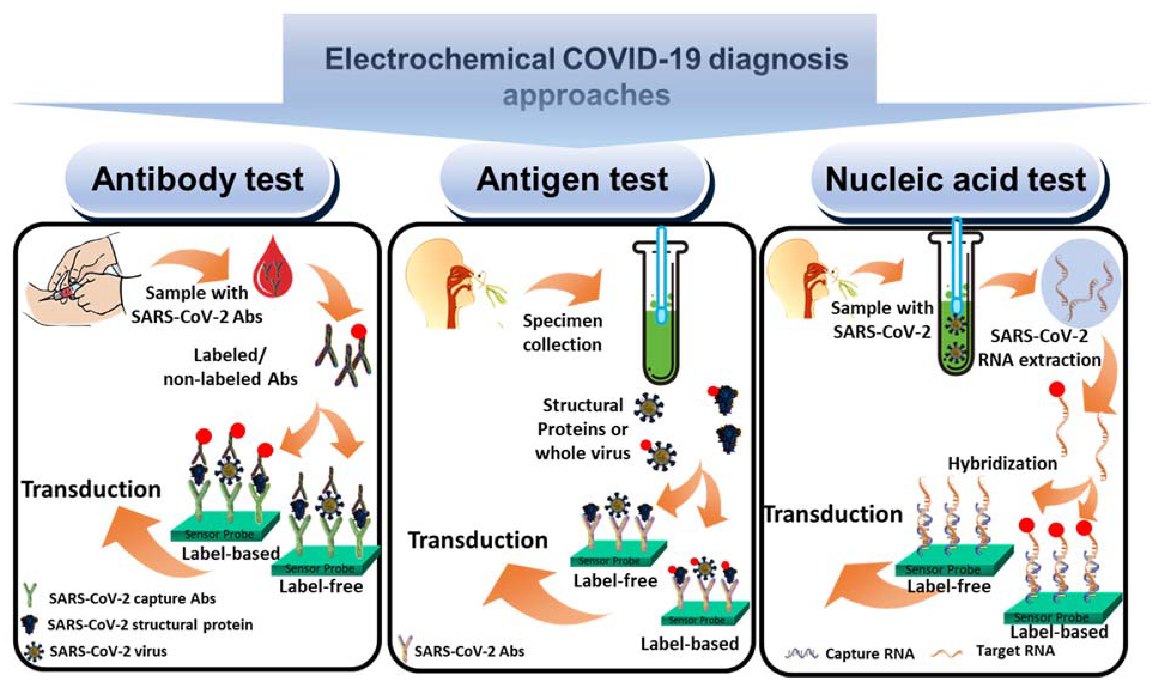 Chemosensors 10 00287 g002