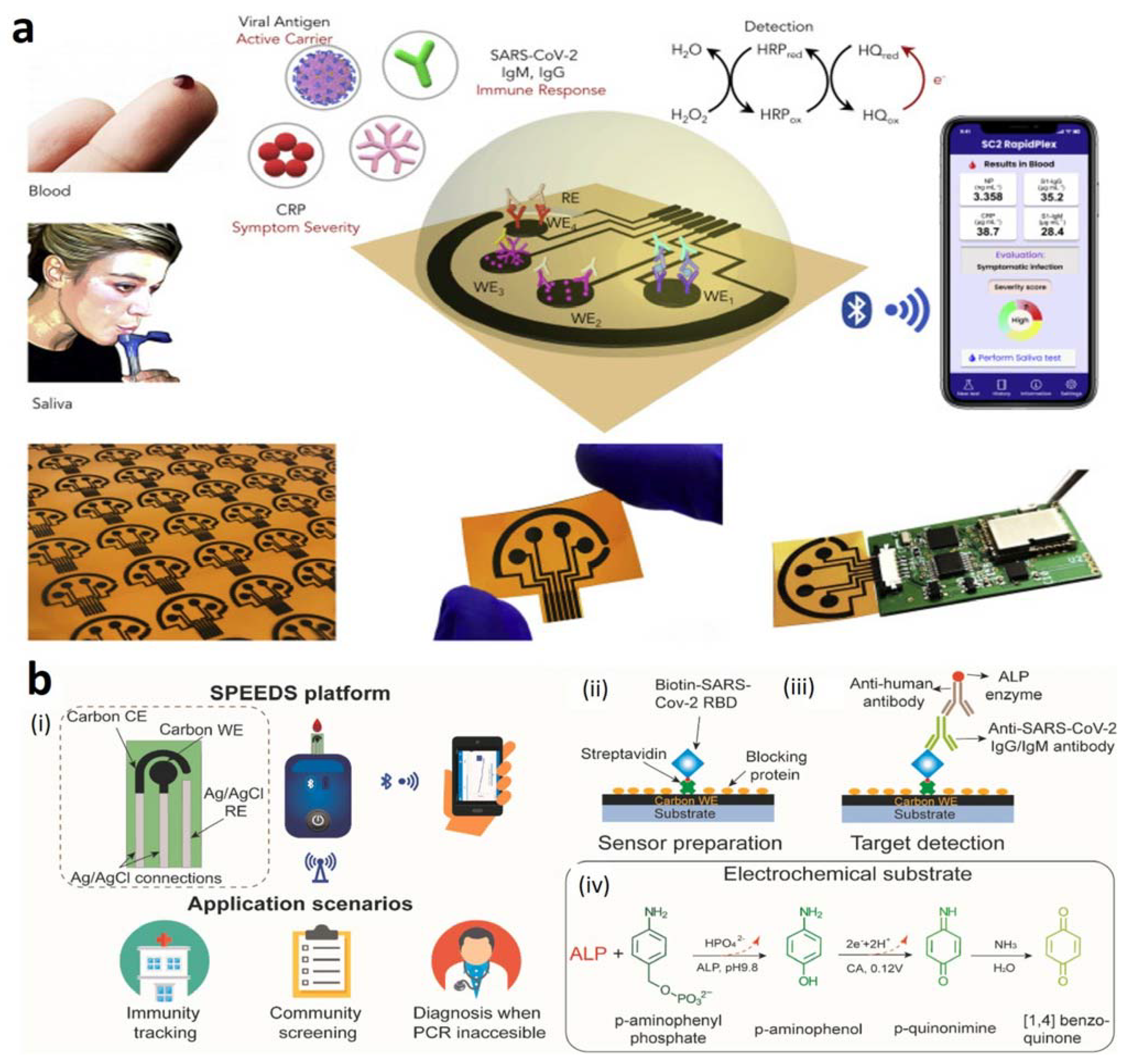 Chemosensors 10 00287 g004