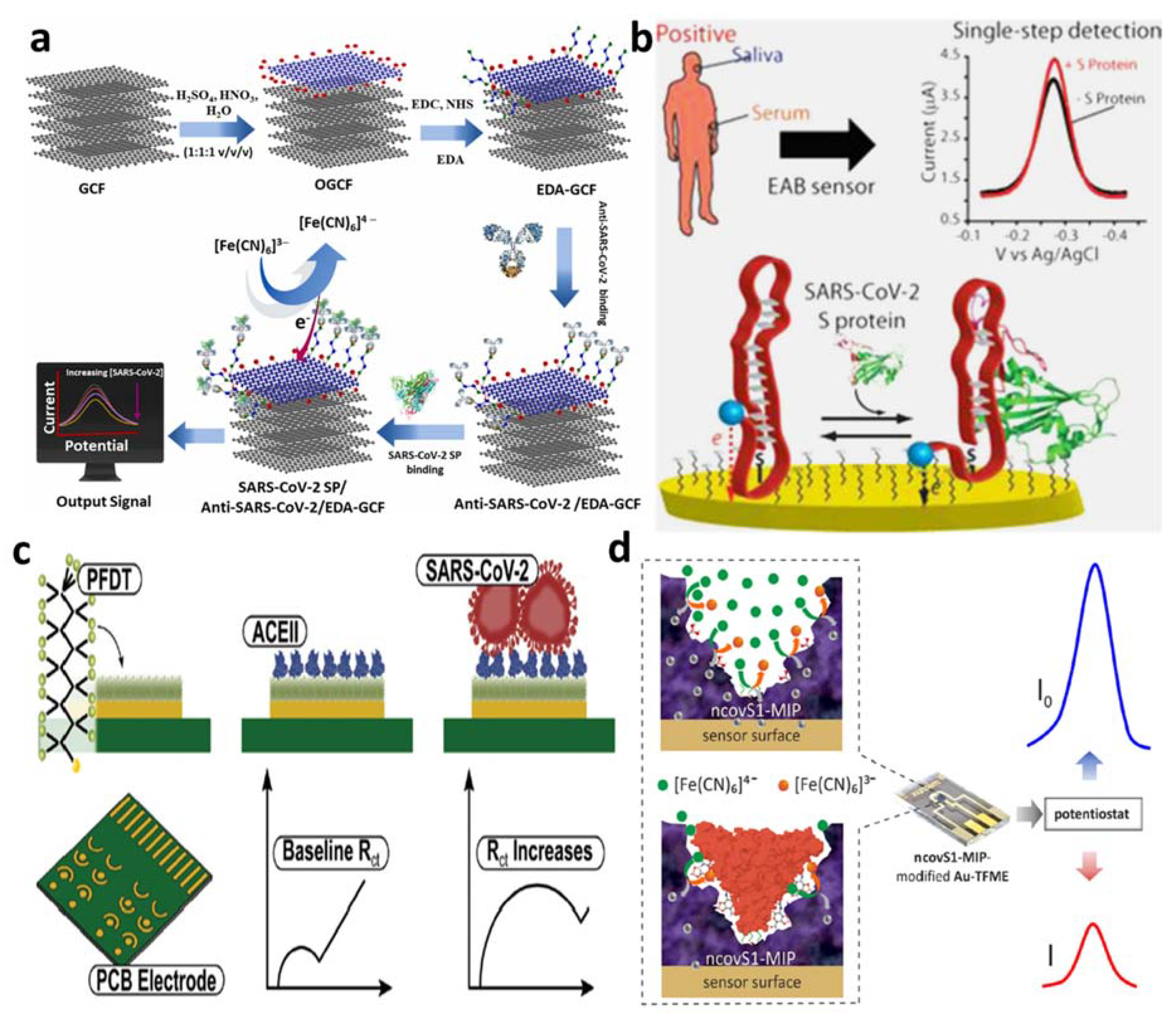 Chemosensors 10 00287 g005