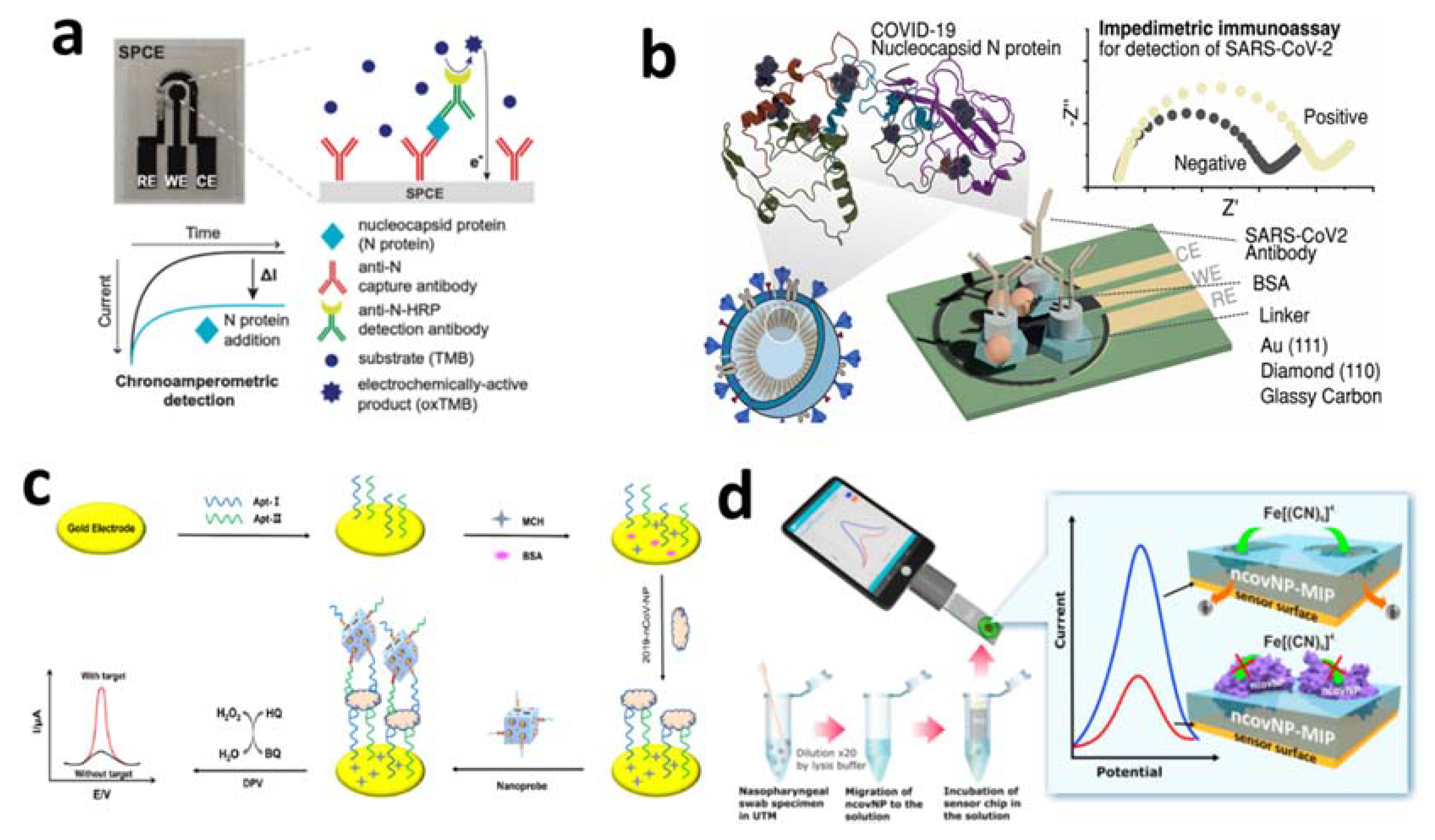 Chemosensors 10 00287 g006