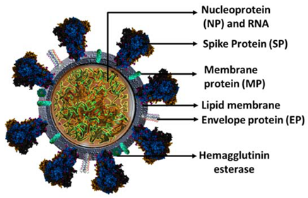 Chemosensors 10 00287 i001