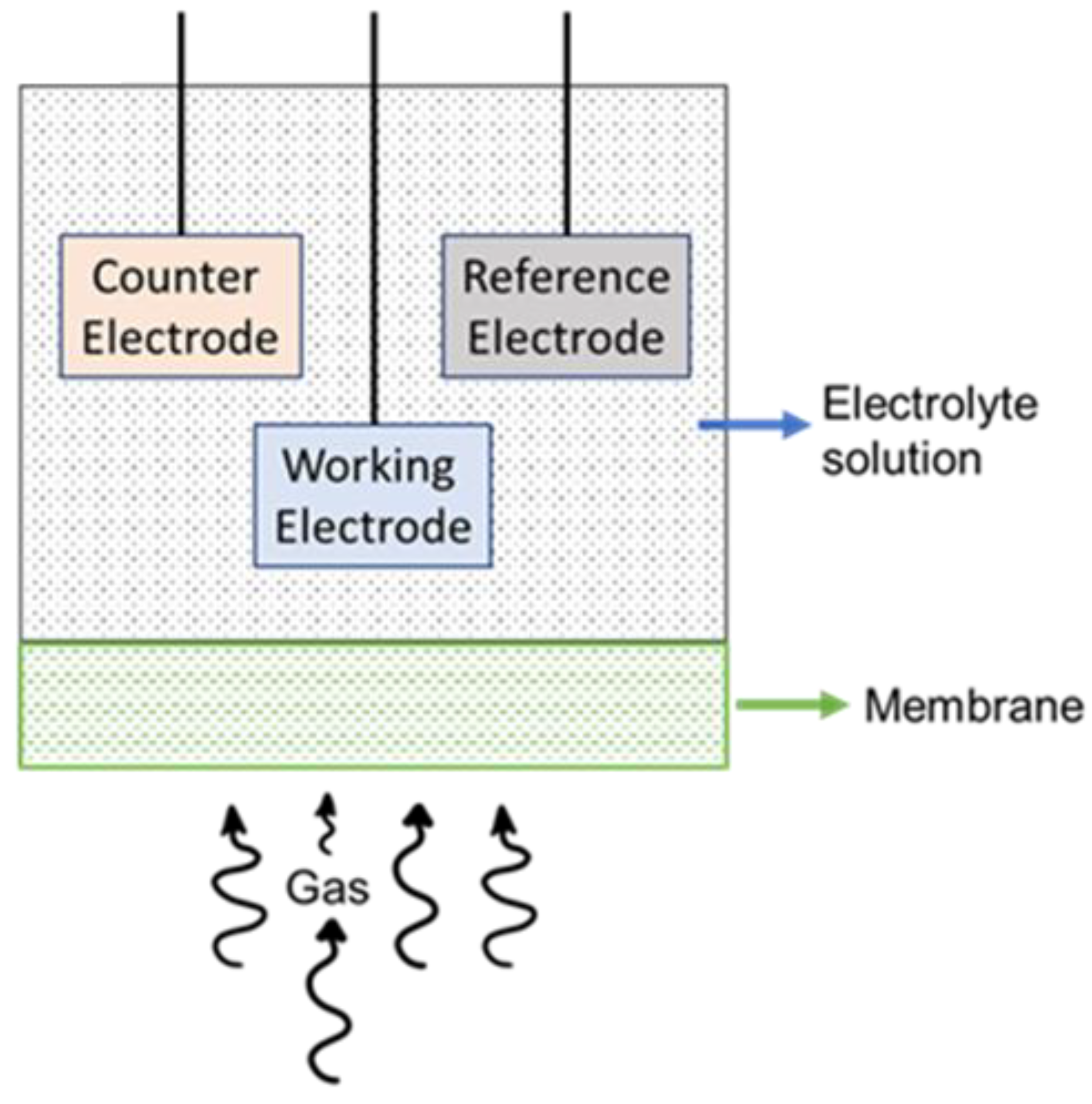 Fibre Channel VS Ethernet Switch: What's the Difference?, by Laura Yu