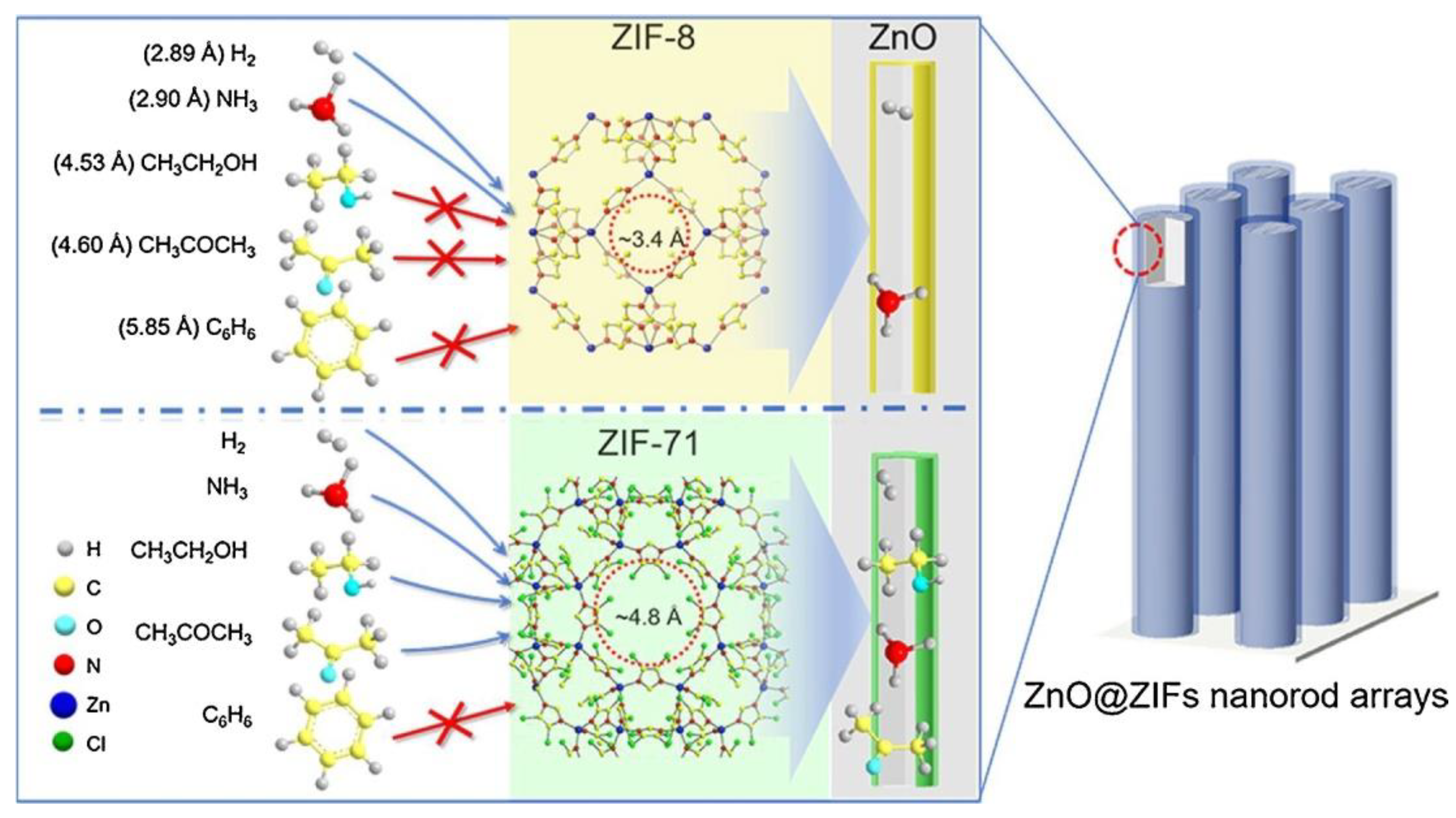 Chemosensors 10 00290 g007