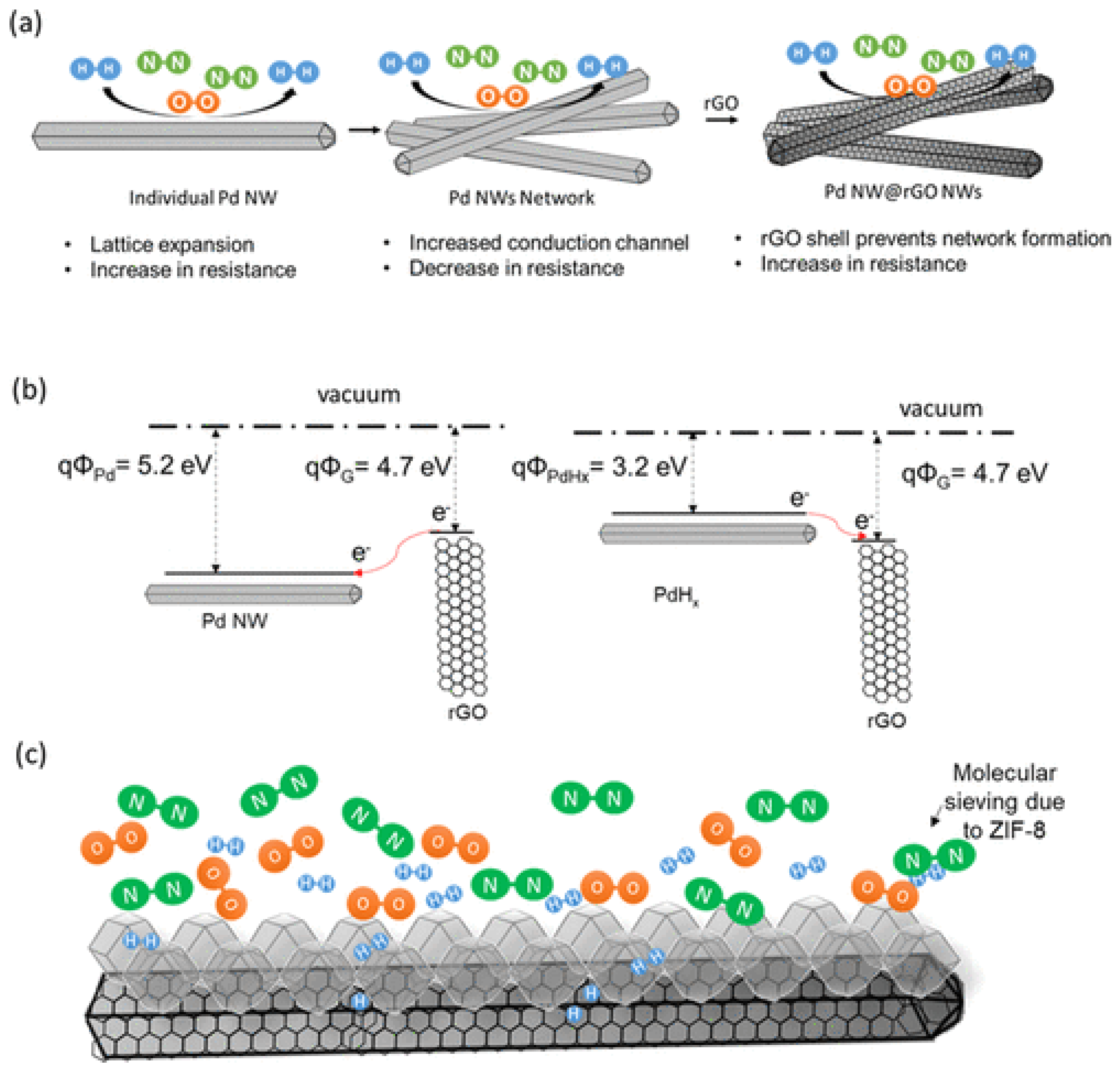 Chemosensors 10 00290 g008