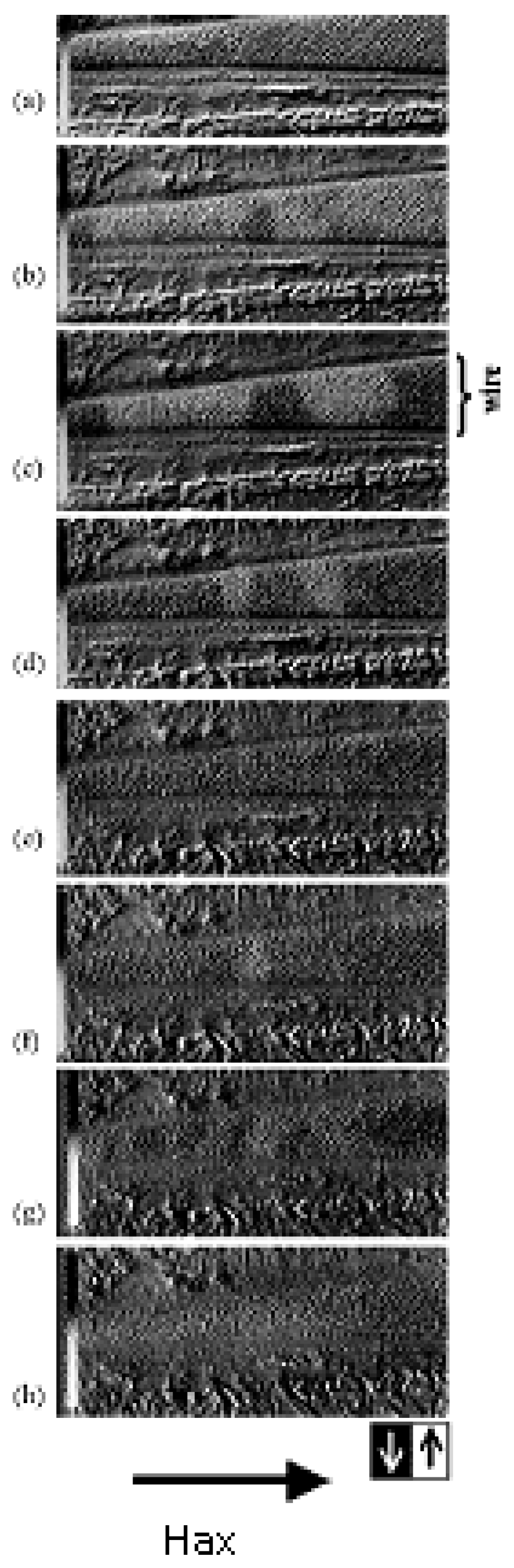 Chemosensors 10 00291 g001