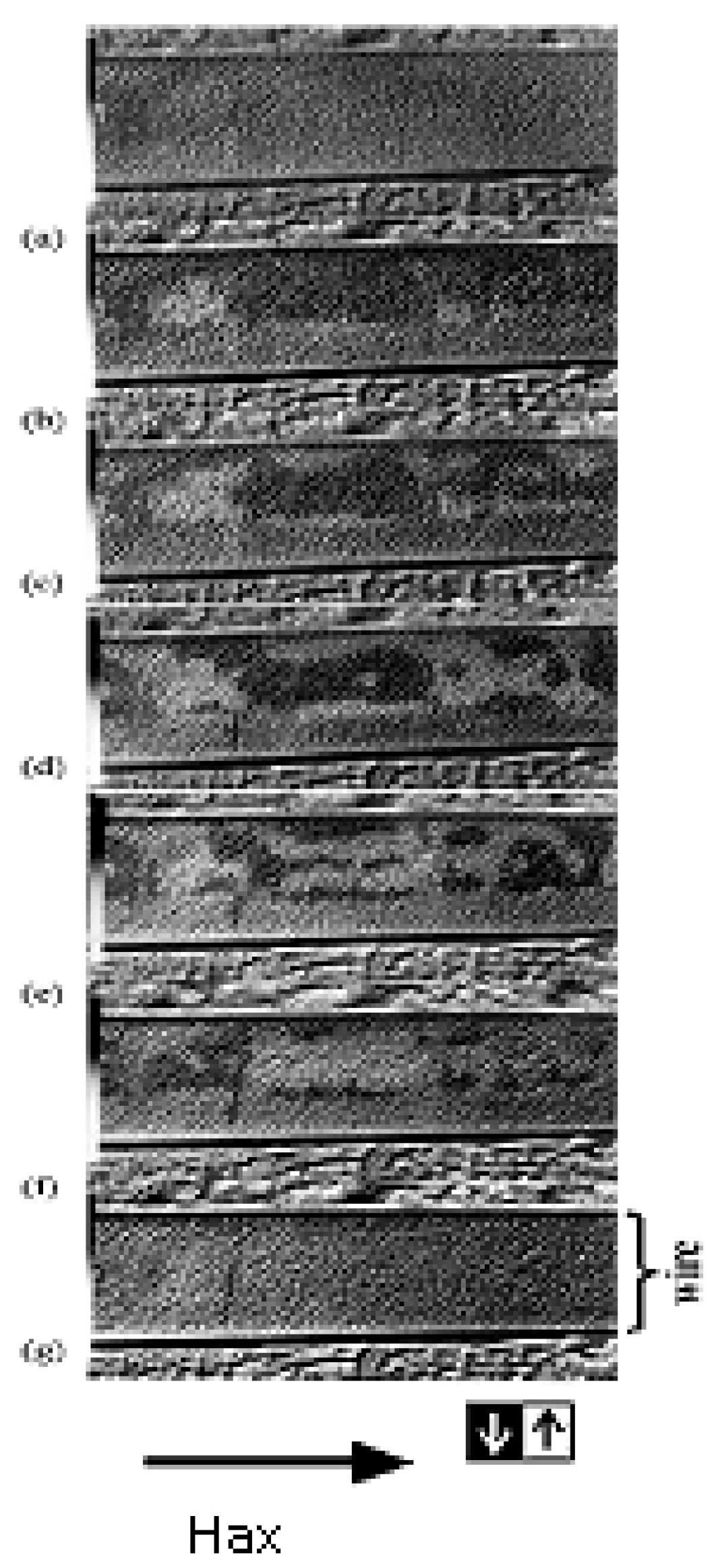 Chemosensors 10 00291 g002