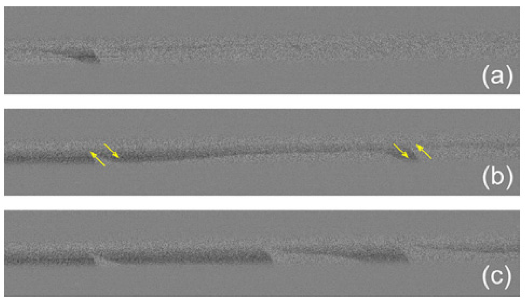 Chemosensors 10 00291 g004