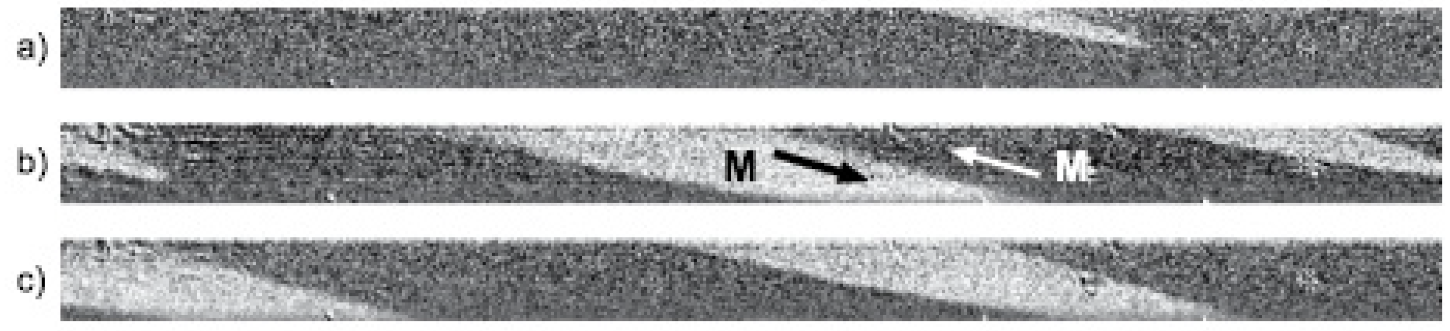 Chemosensors 10 00291 g008