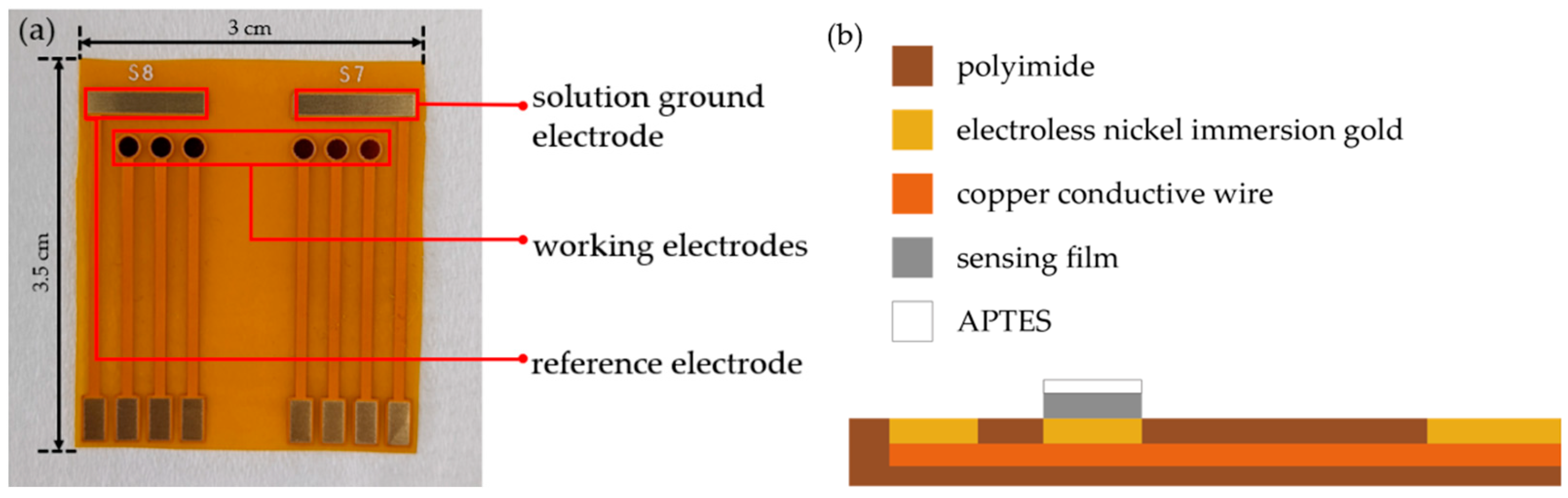 Chemosensors 10 00293 g001