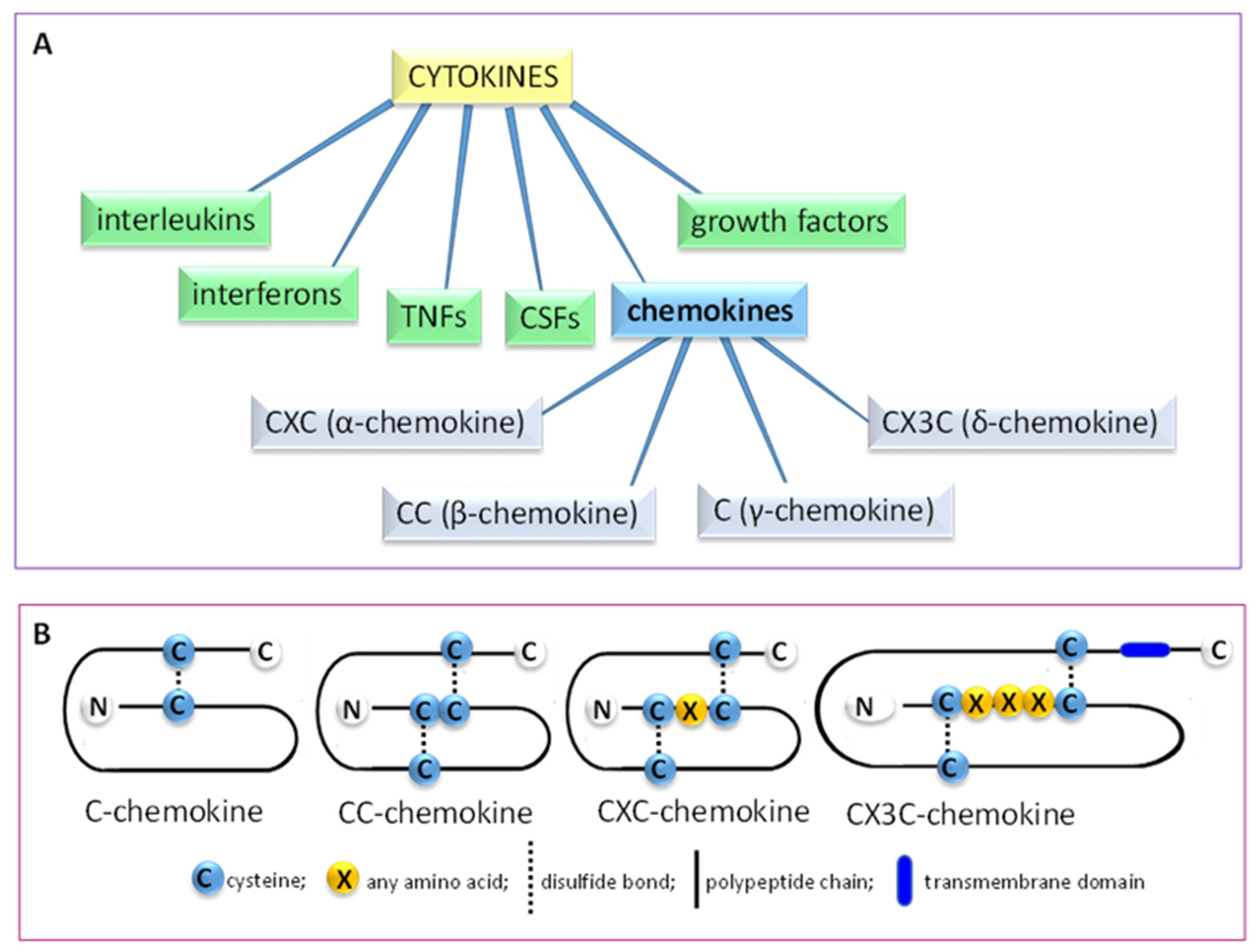 Elevated Circulating Levels of C-C Chemokines in Patients With Congestive  Heart Failure