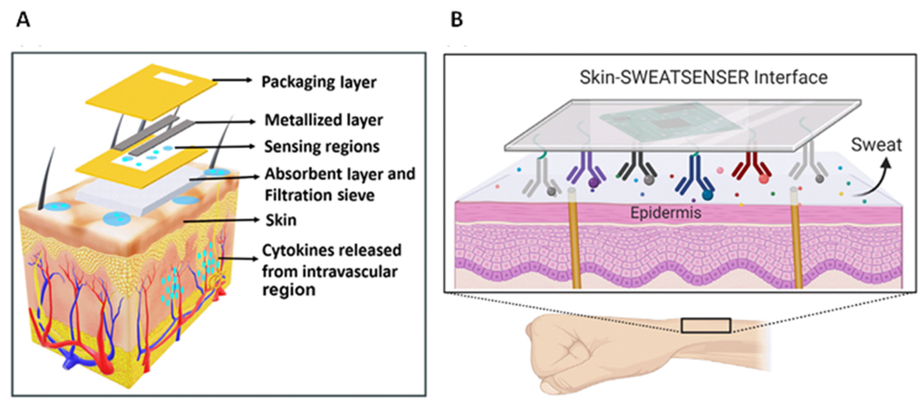 Chemosensors 10 00294 g003