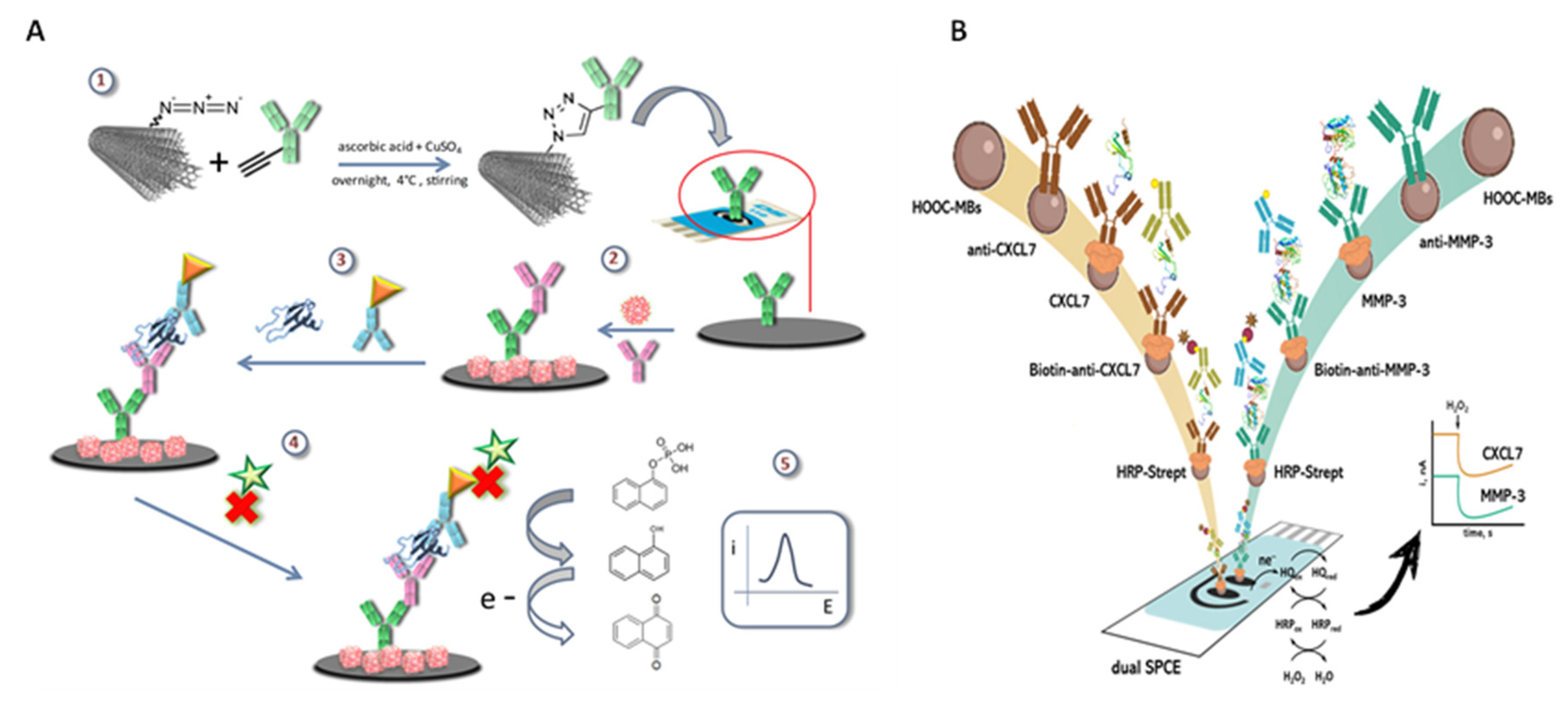 Chemosensors 10 00294 g004