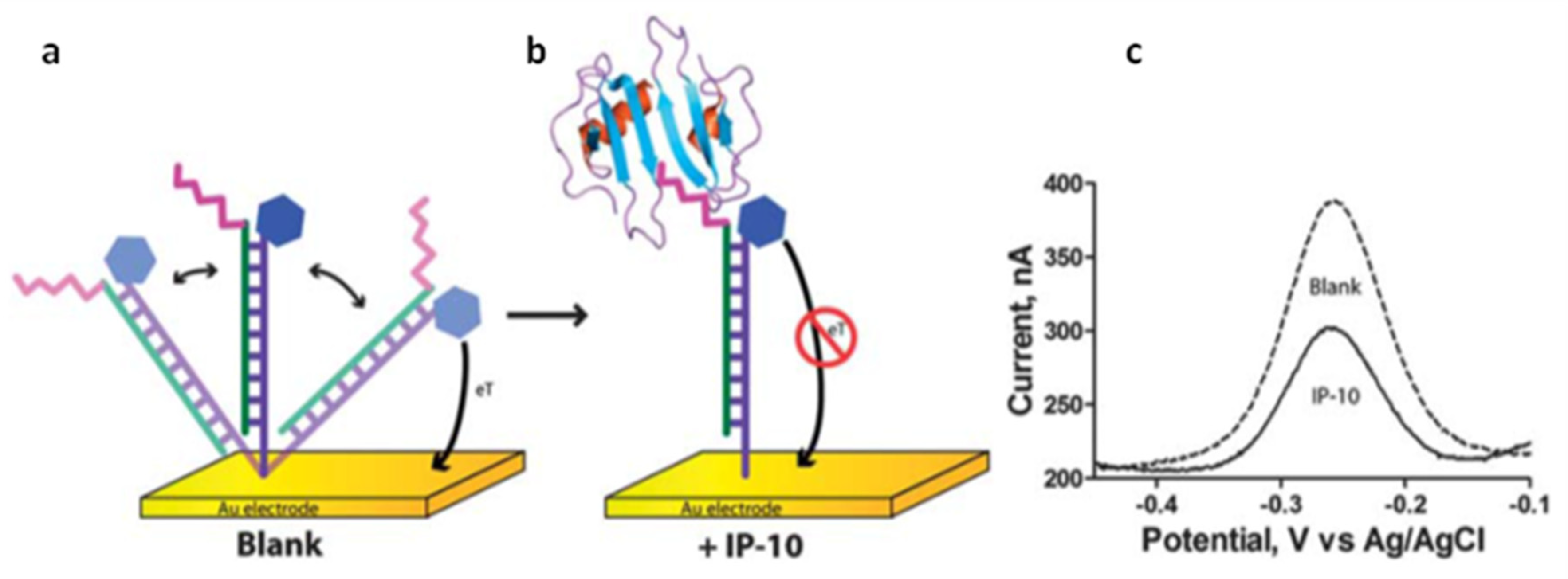 Chemosensors 10 00294 g005