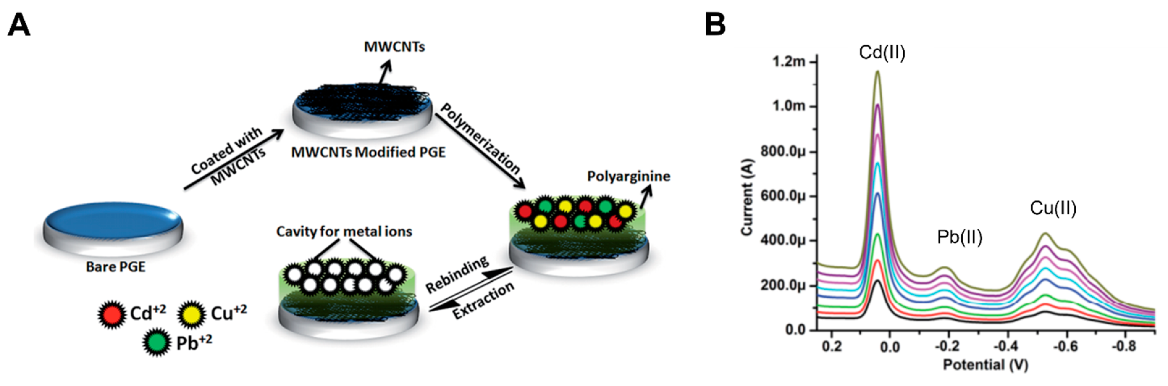 Chemosensors 10 00296 g005