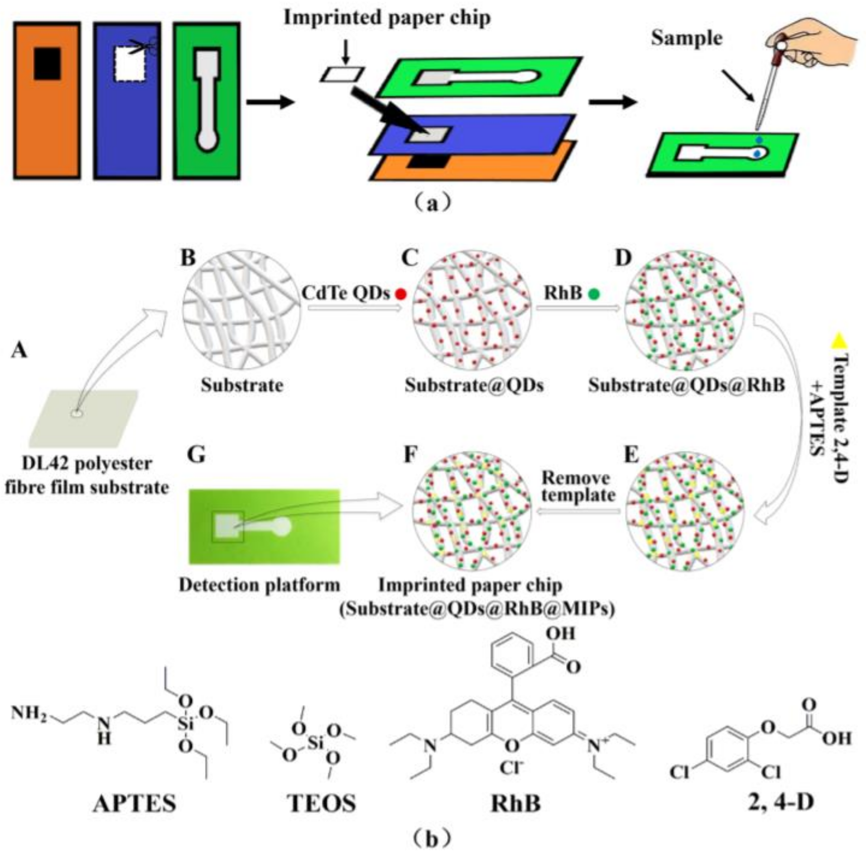 Chemosensors 10 00296 g008
